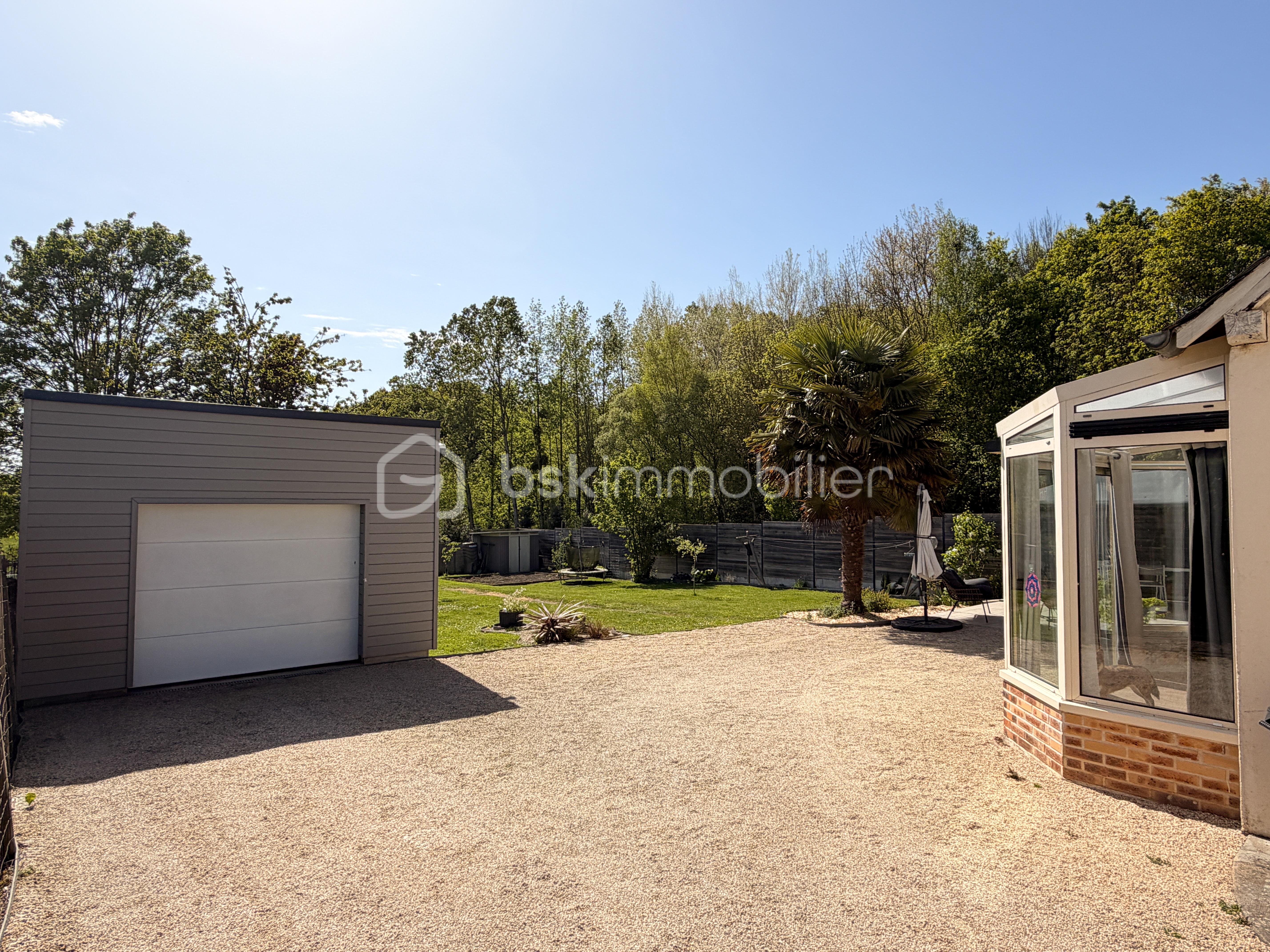 JANVIER IMG_1401.JPG