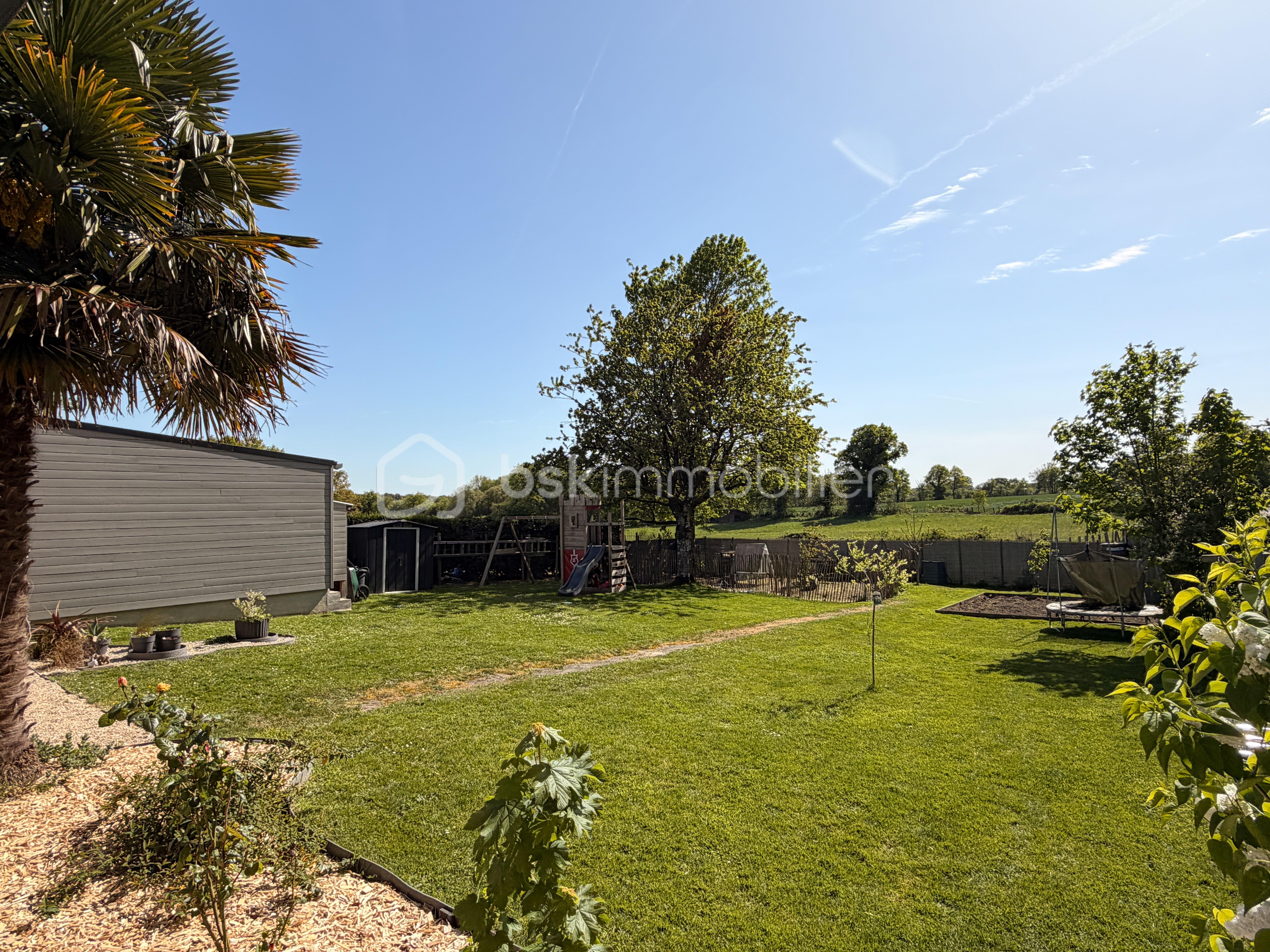 JANVIER IMG_1396.JPG