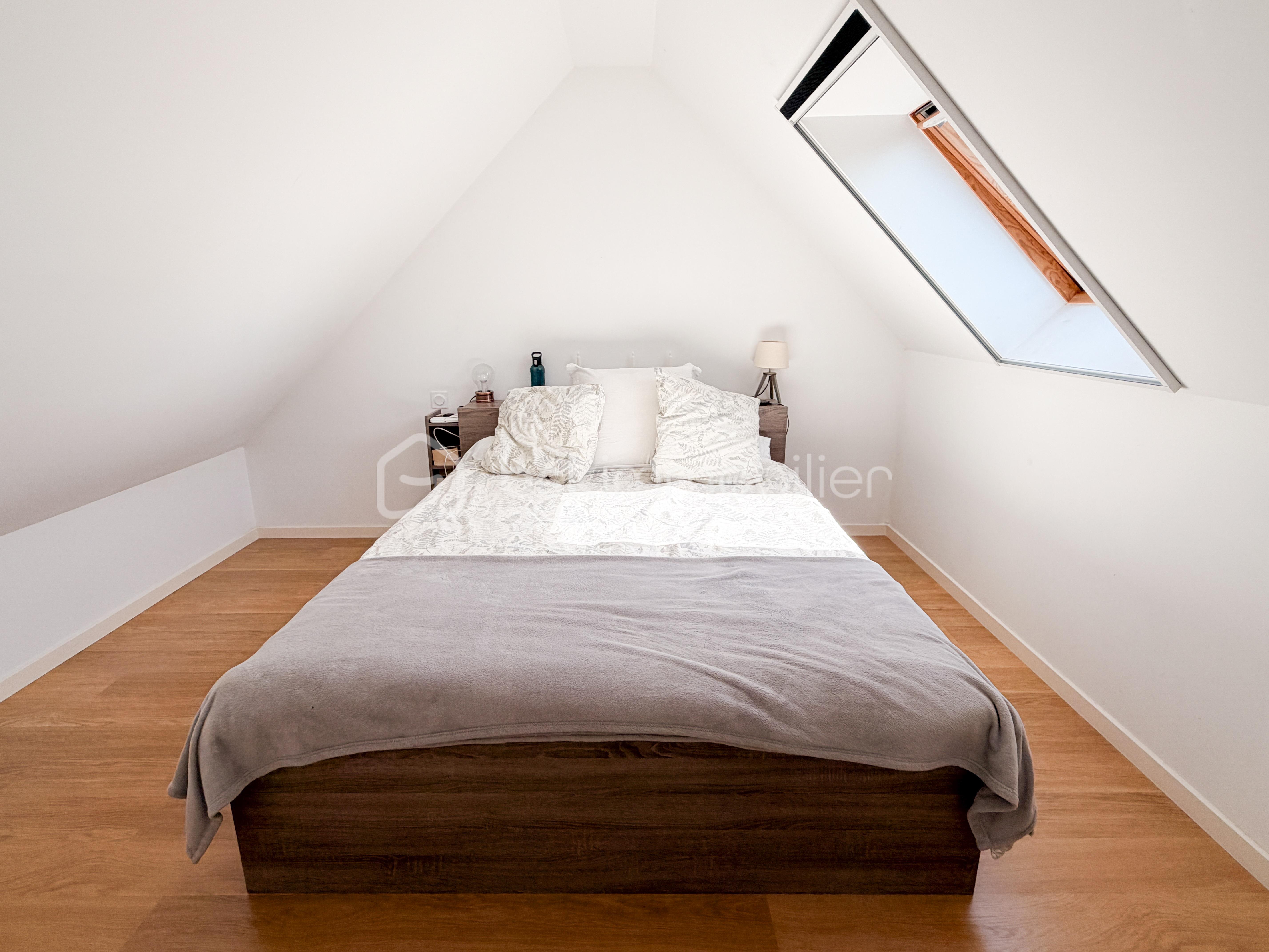 JANVIER IMG_1383.JPG