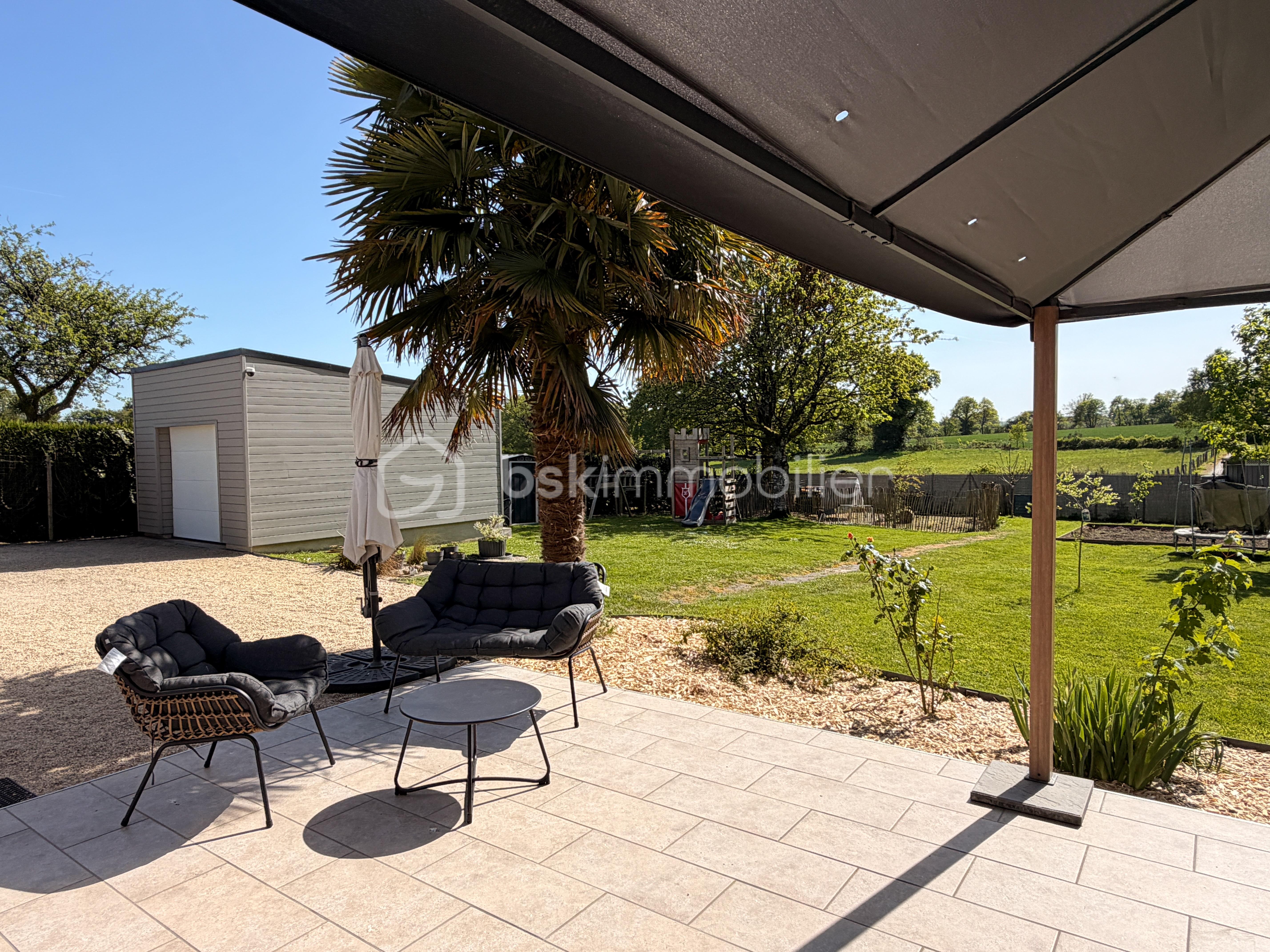 JANVIER IMG_1411.JPG