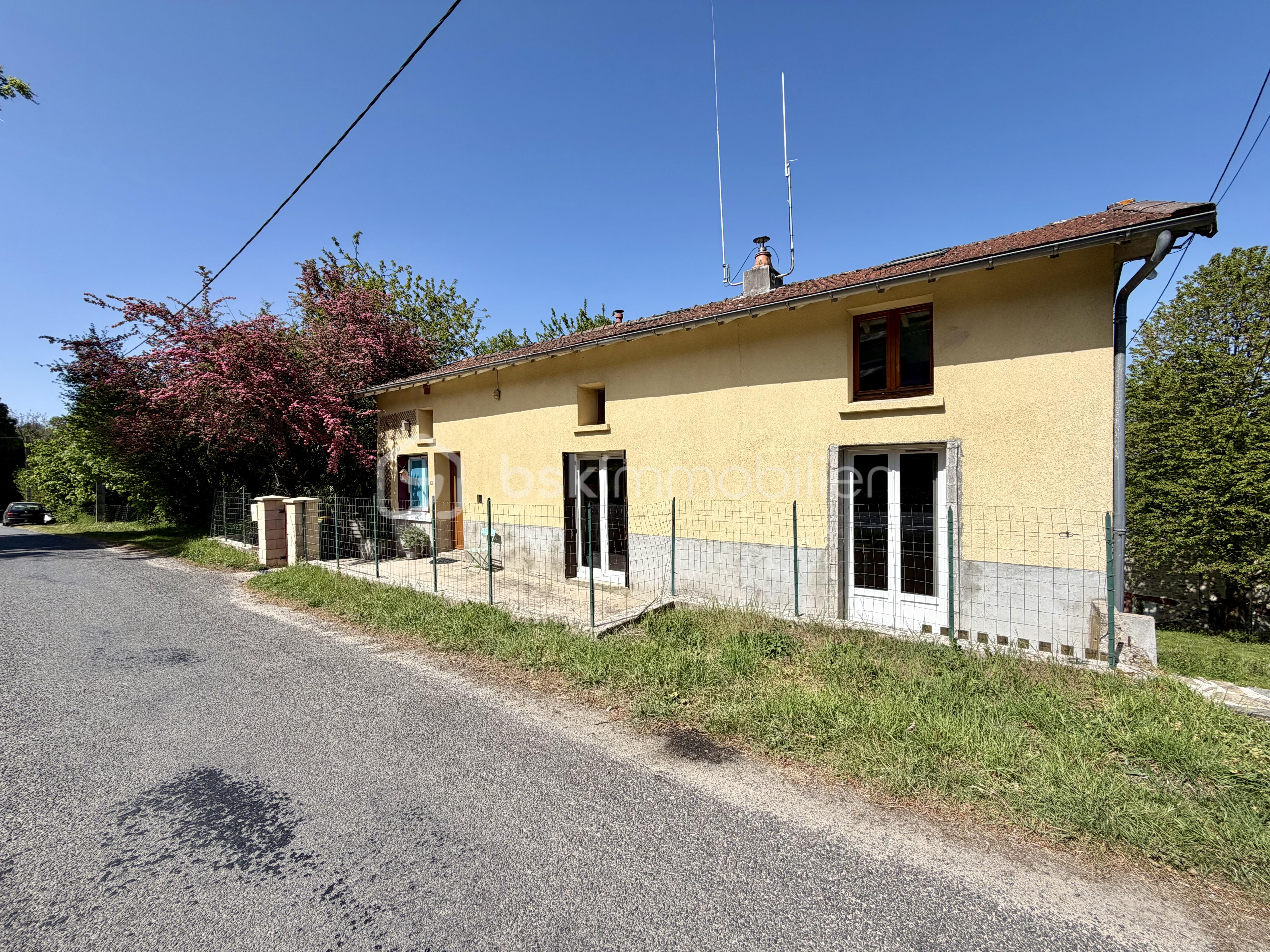 IMG_3007.jpeg