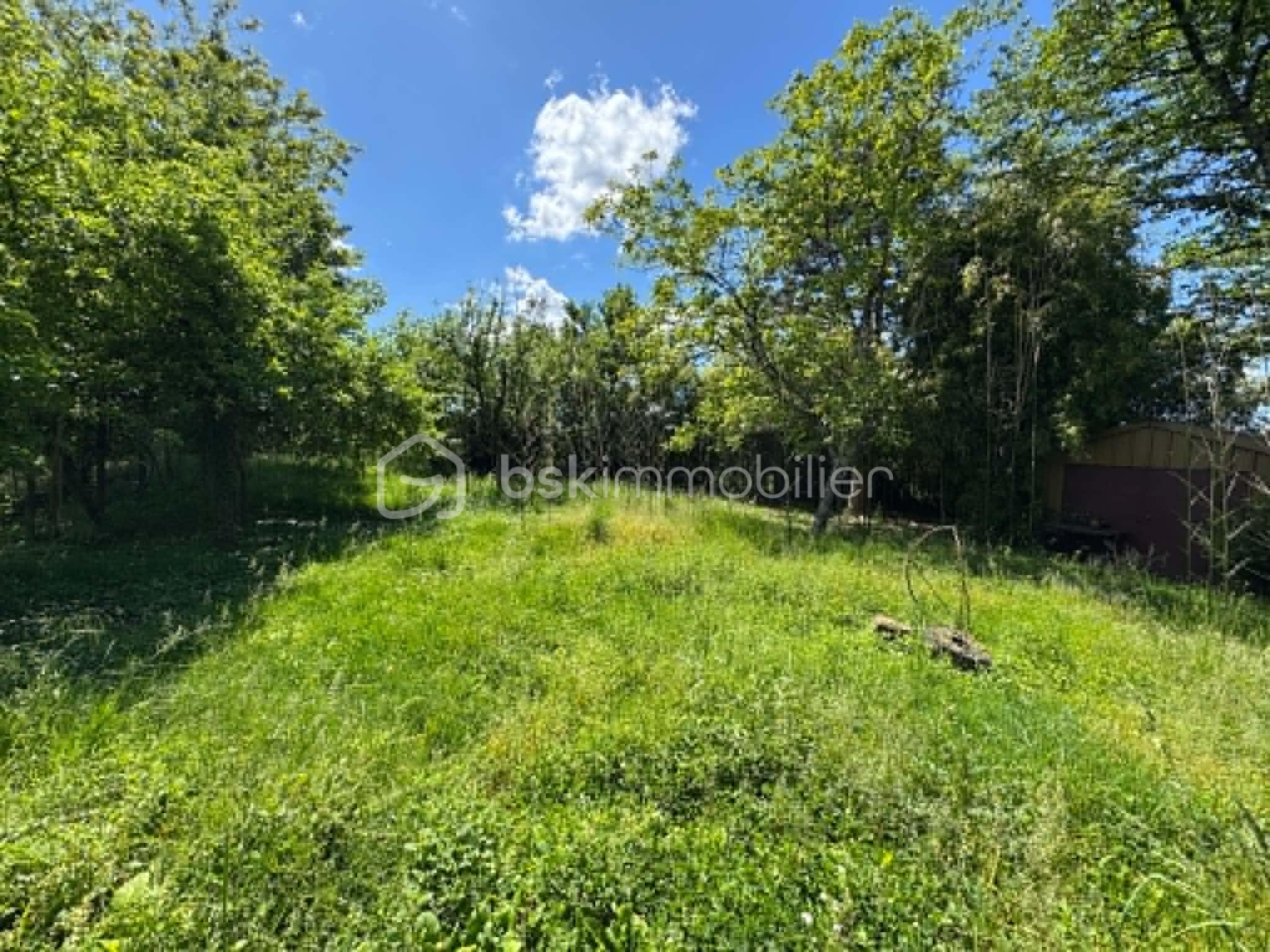 JARDIN ARRIERE.jpg