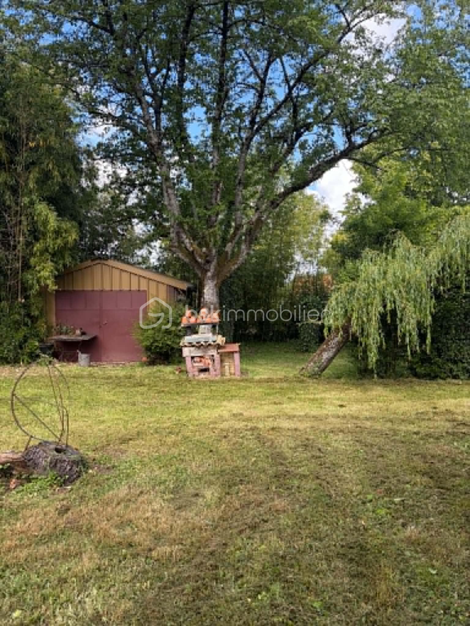 JARDIN 4.jpg