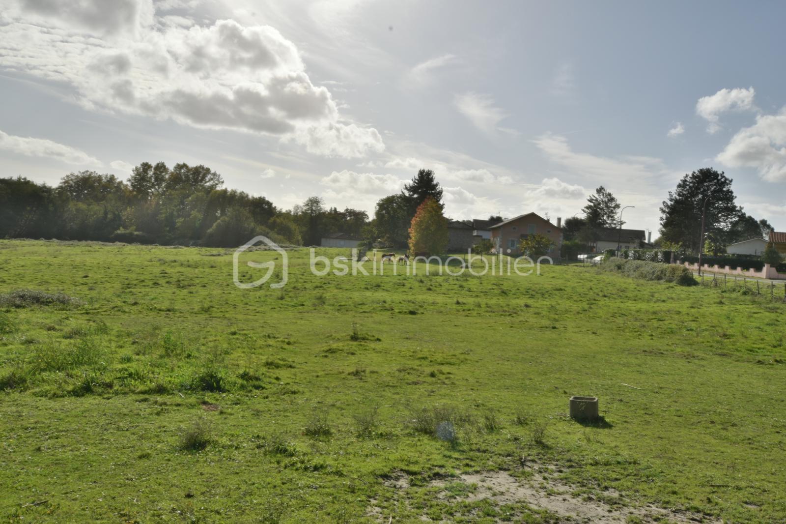 Appartement de 119,17 m² - 6.jpg