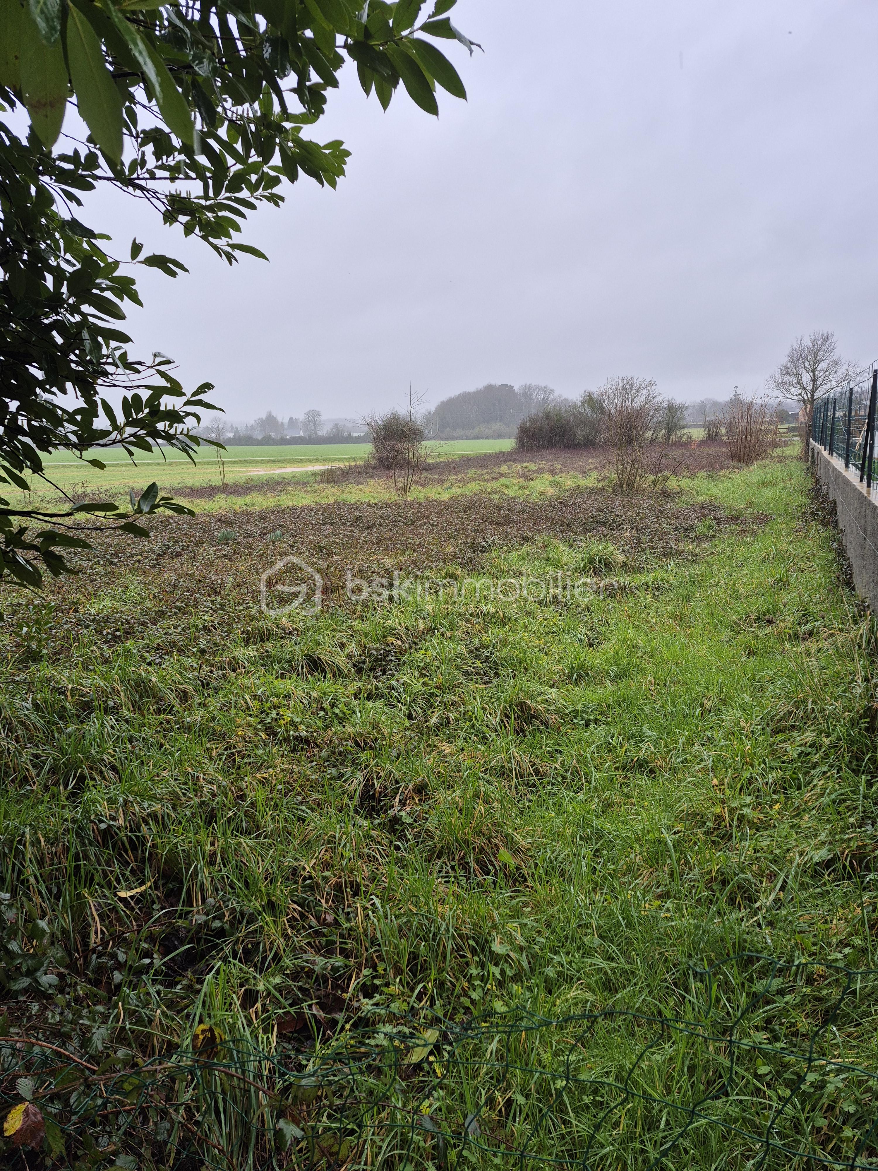 Maison traditionnelle de 110 m² - 20260209_140346.jpg