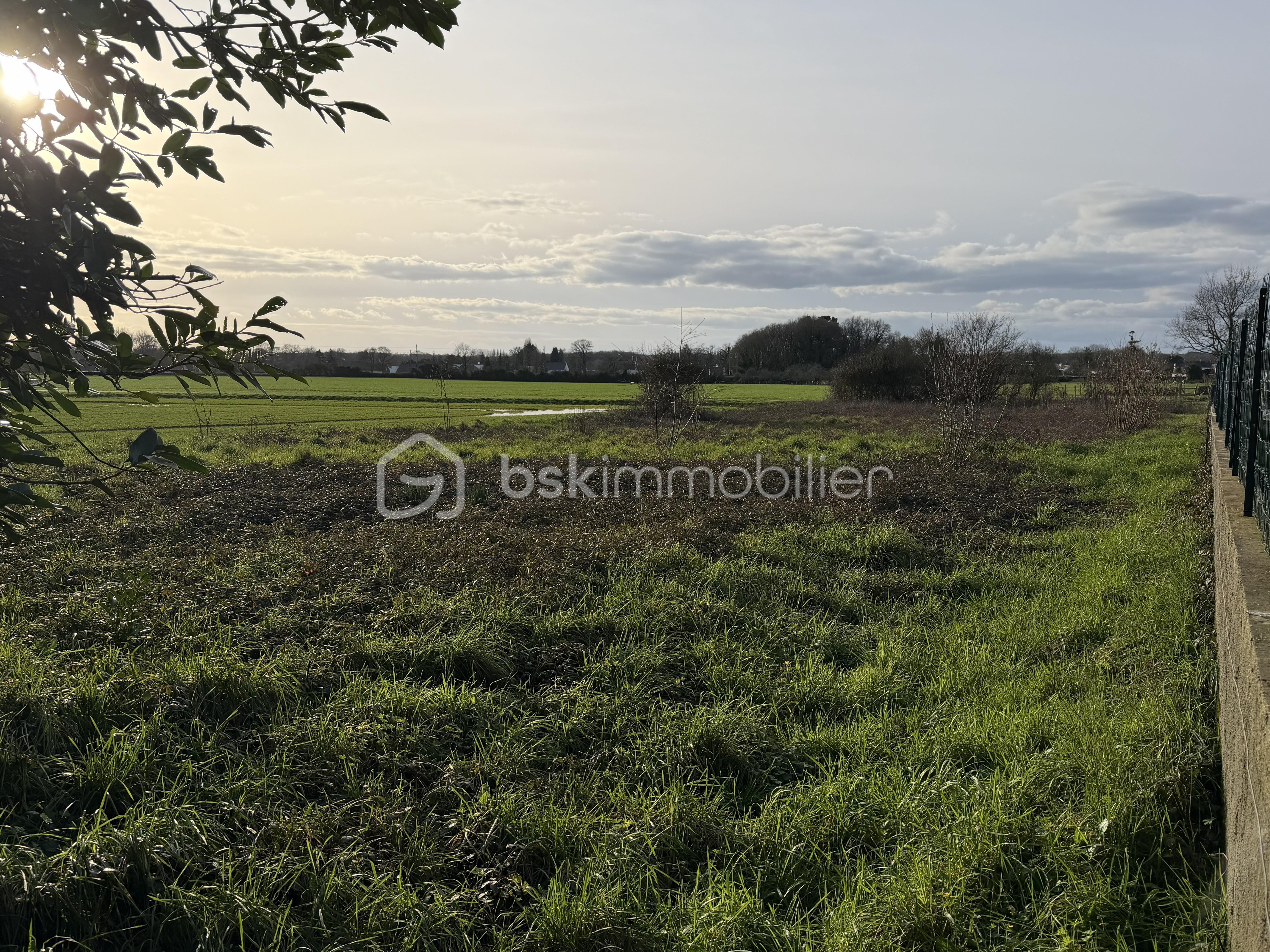 Maison traditionnelle de 110 m² - 8528.jpeg