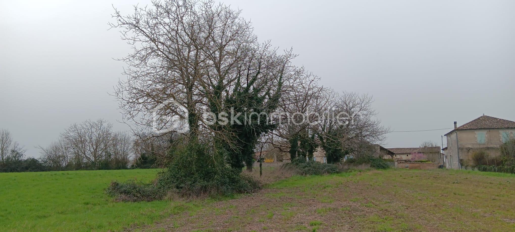 WhatsApp Image 2026-03-05 at 18.26.53 (3).jpeg