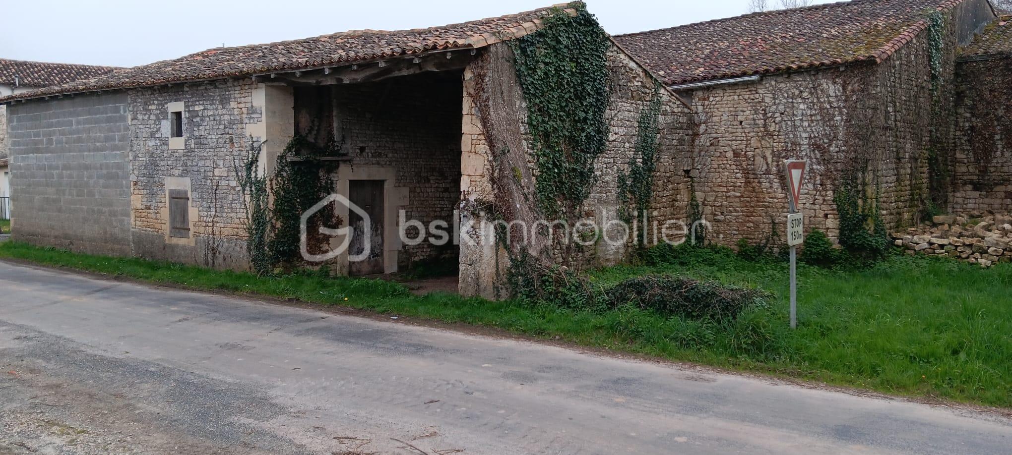 WhatsApp Image 2026-03-05 at 18.26.53.jpeg