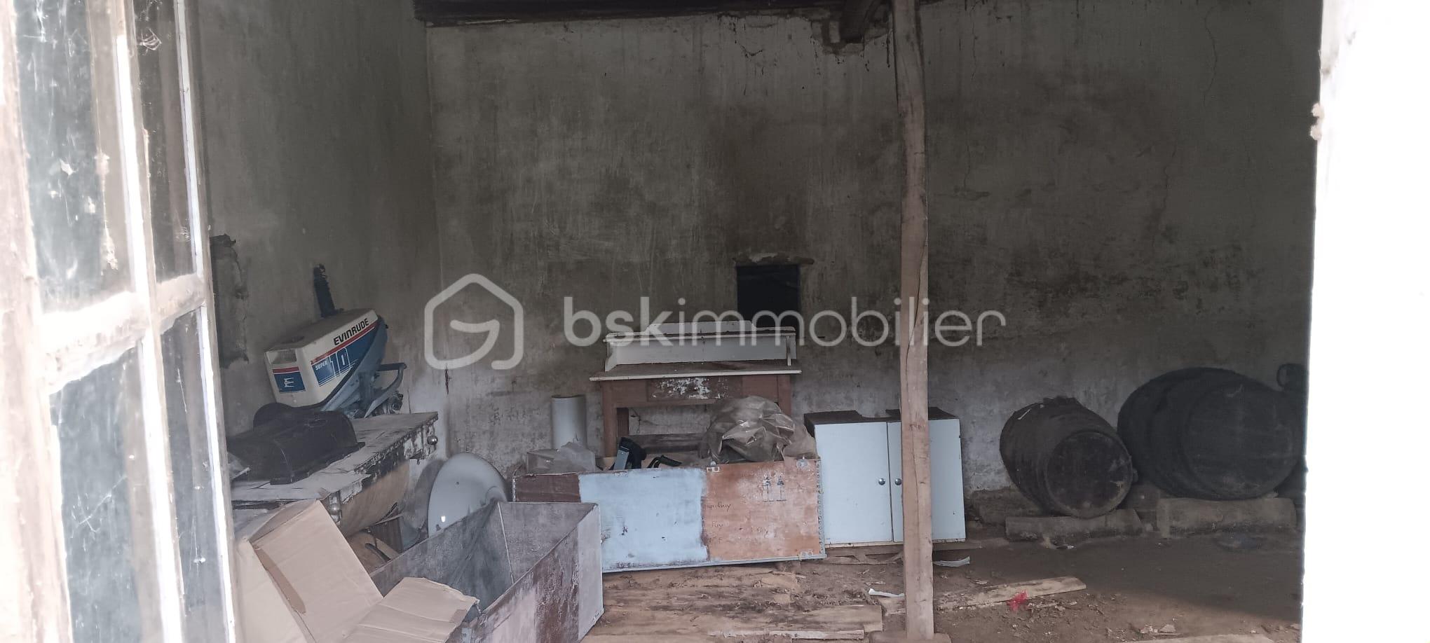 WhatsApp Image 2026-03-05 at 18.26.54 (2).jpeg