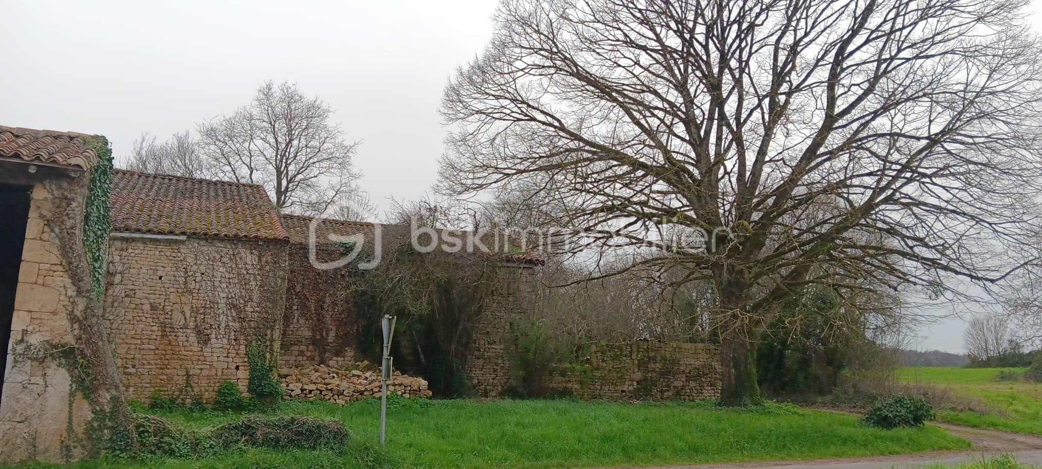 WhatsApp Image 2026-03-05 at 18.26.54 (1).jpeg