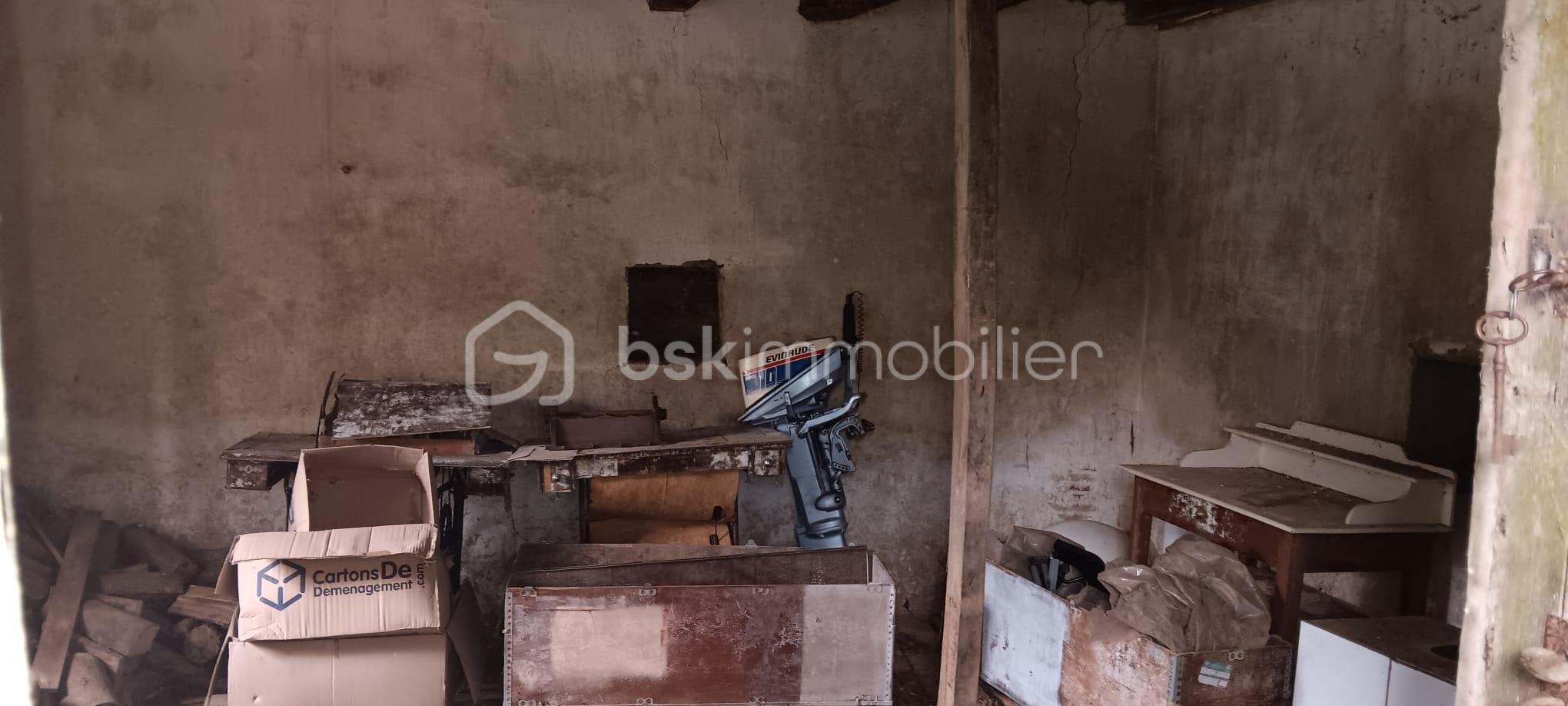 WhatsApp Image 2026-03-05 at 18.26.54 (3).jpeg