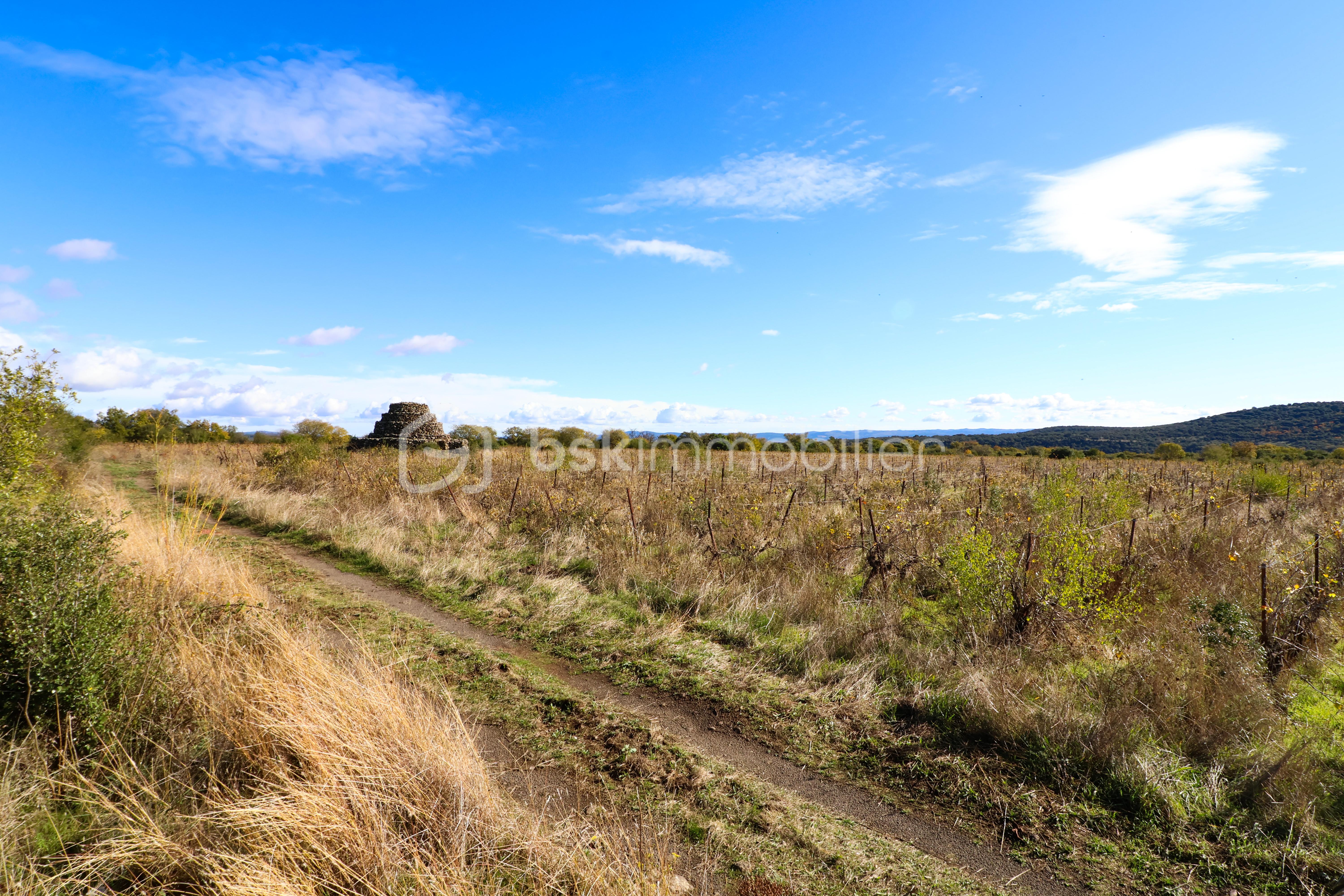 Terrain agricole de 23 150 m² - IMG_3452.JPG