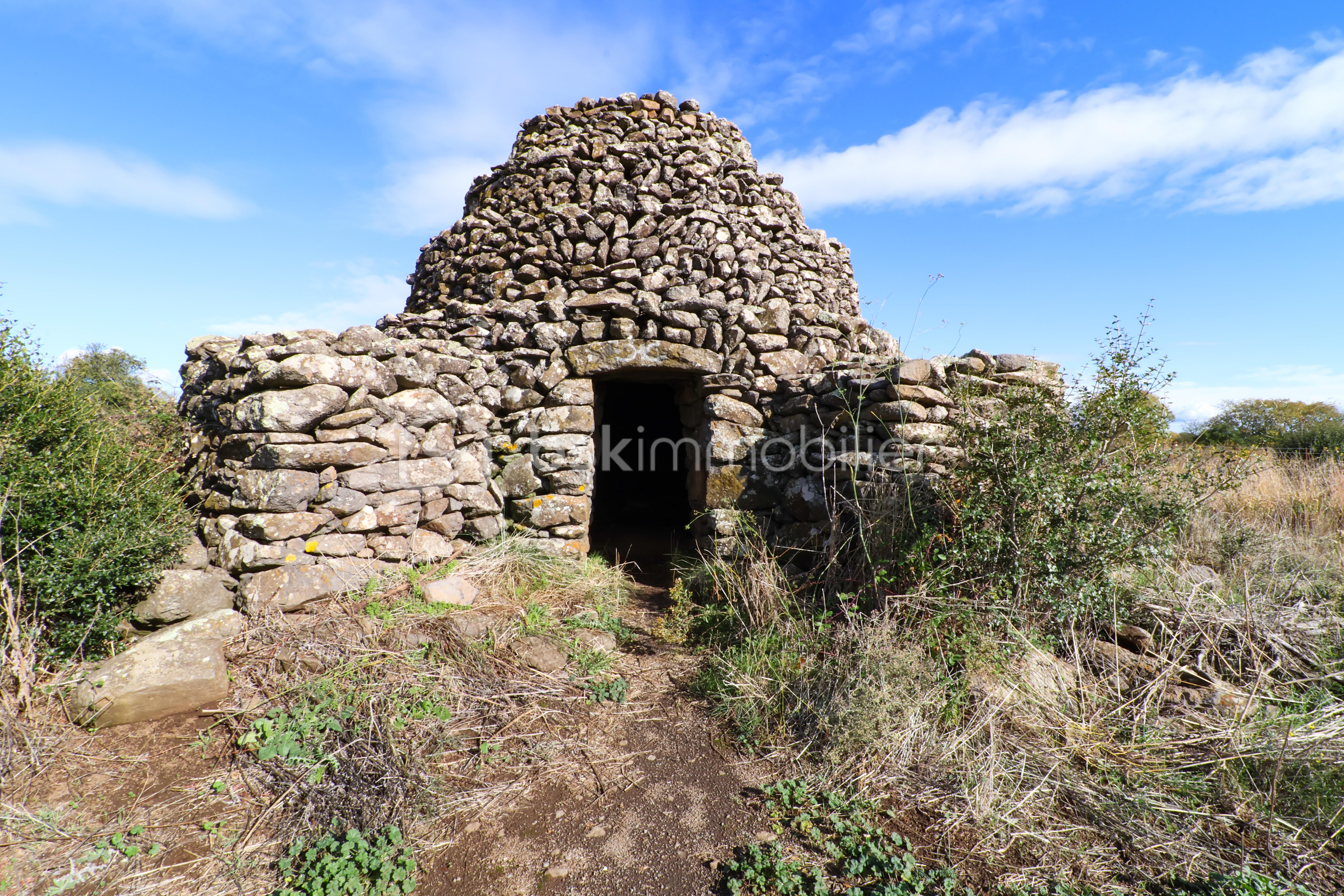 Terrain agricole de 23 150 m² - IMG_3402.JPG