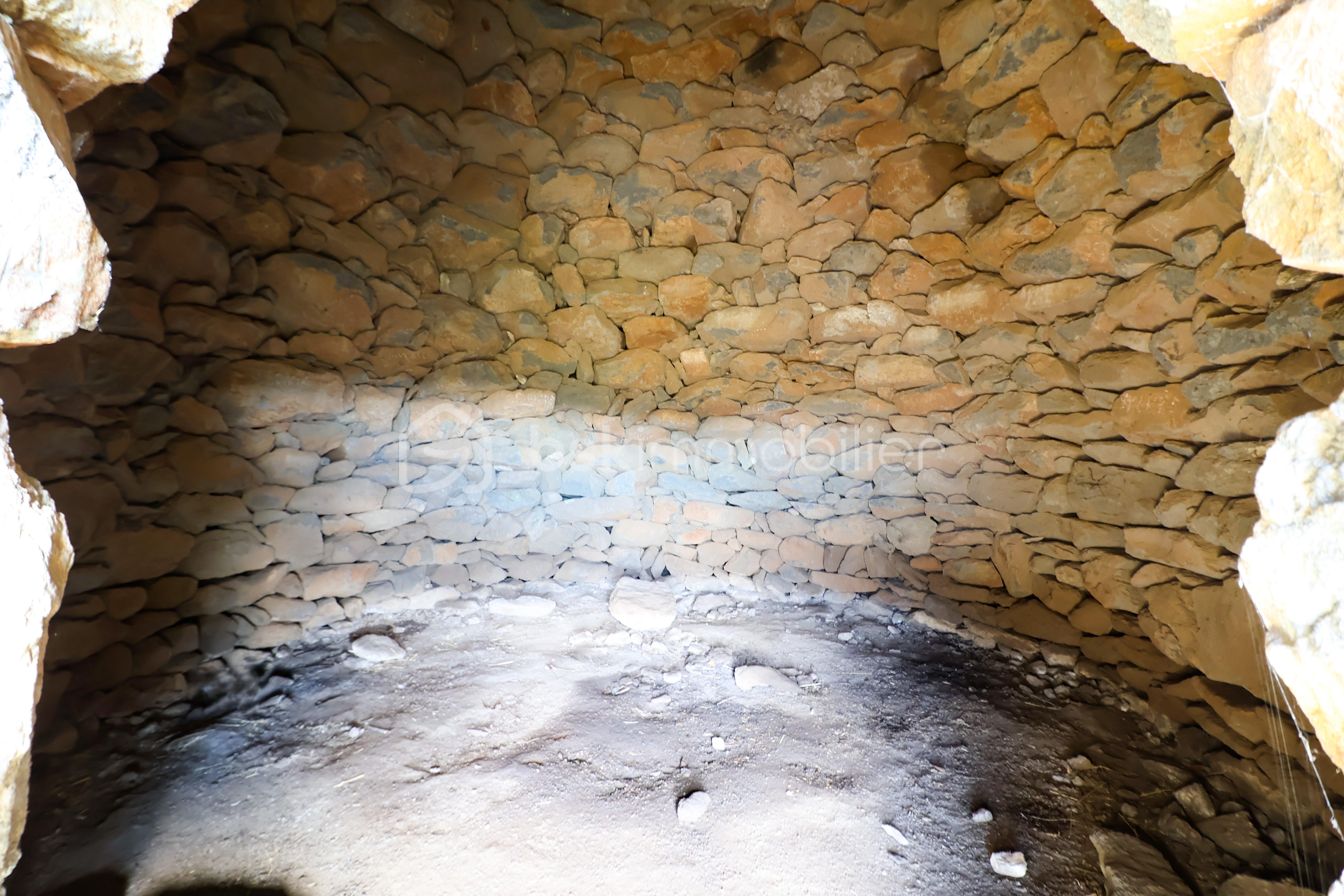 Terrain agricole de 23 150 m² - IMG_3419.JPG