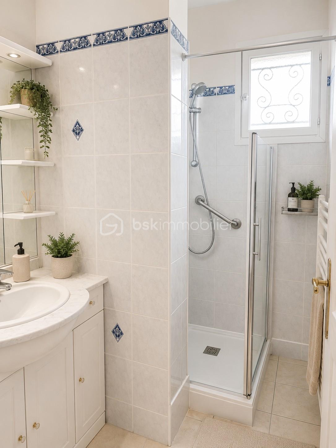 Didier BOTTIN bskimmobilier sde.jpeg