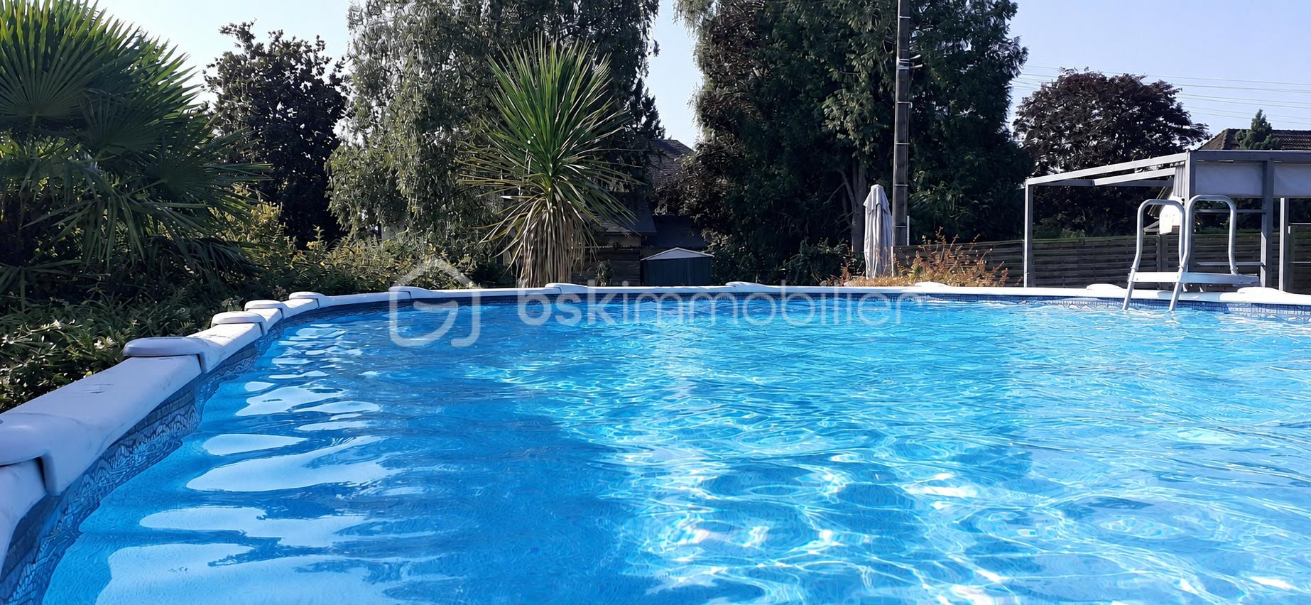 PISCINE VIDE.png
