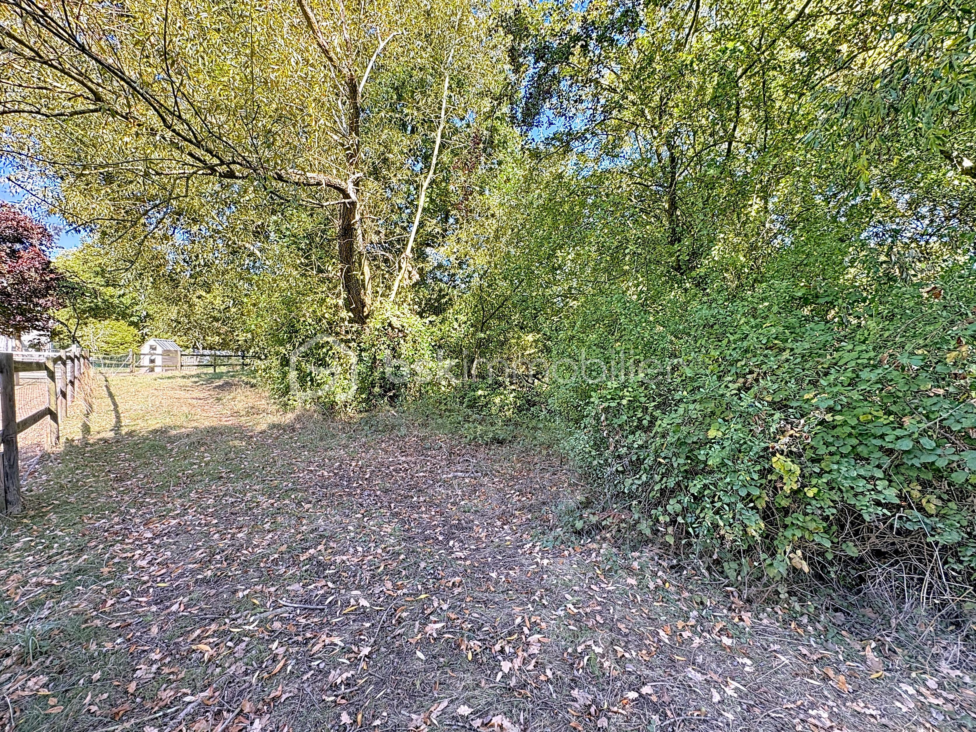 Terrain de 7 991 m² - terrain_00005.jpg
