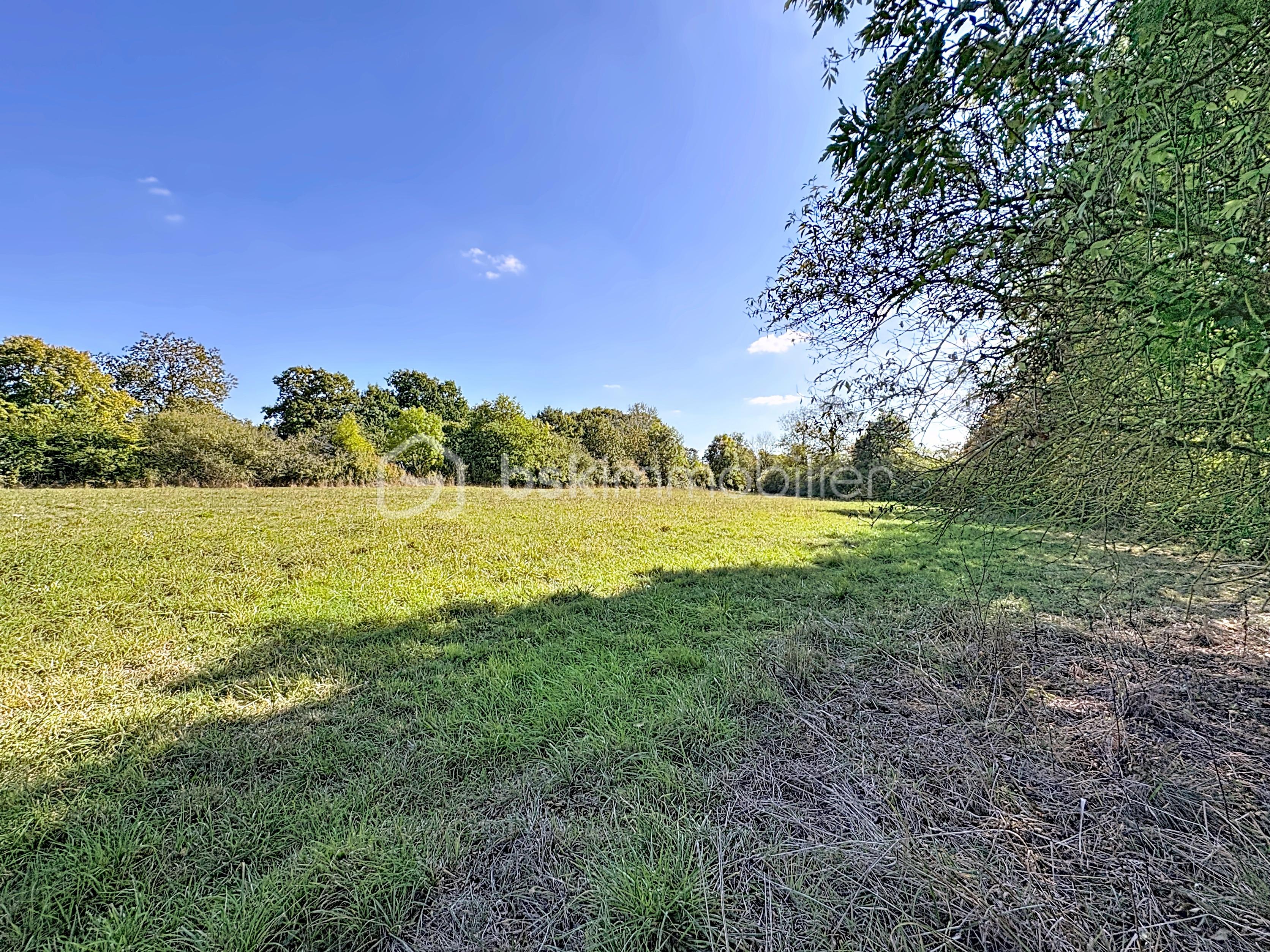 Terrain de 7 991 m² - terrain_00002.jpg
