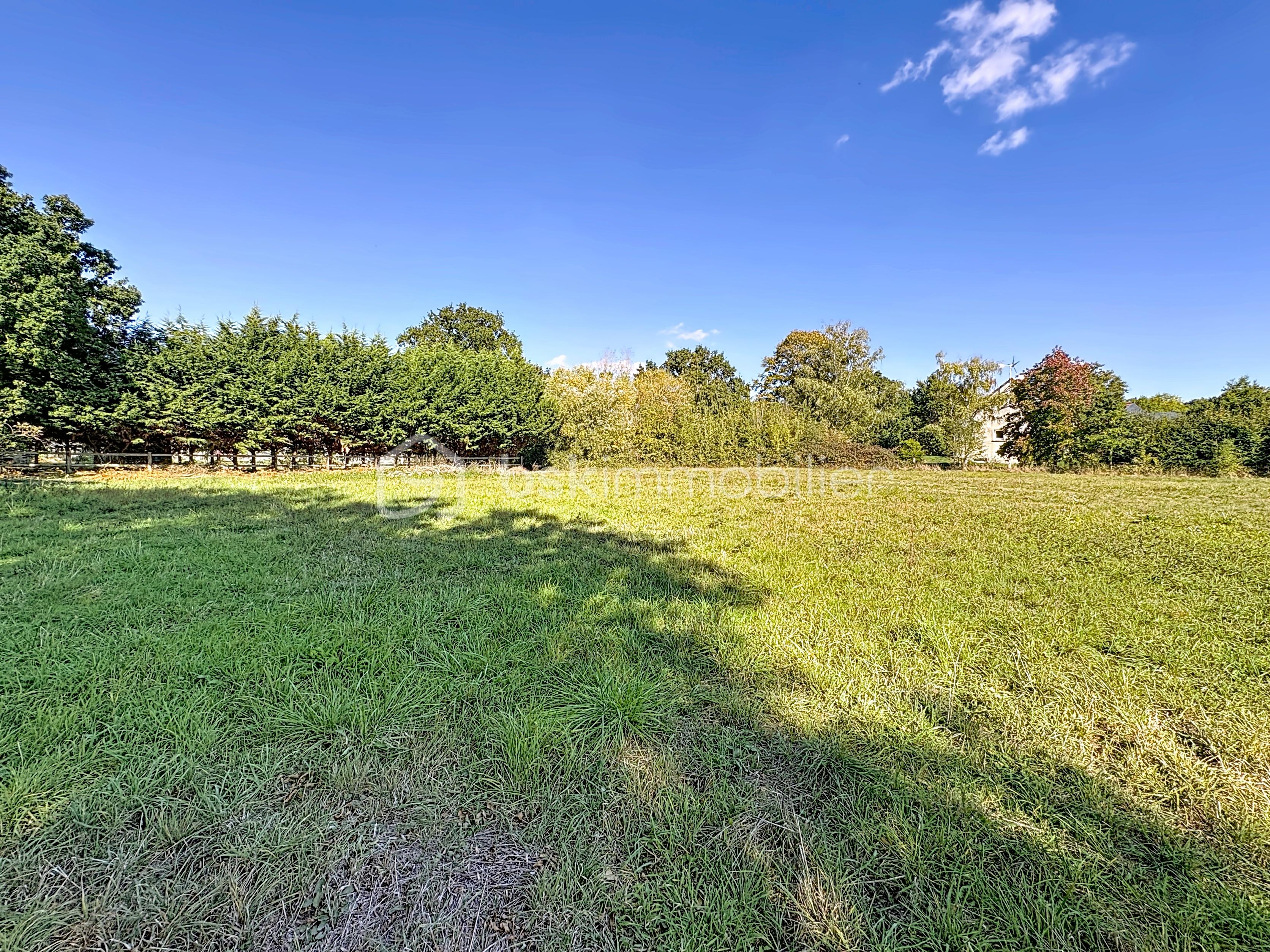 Terrain de 7 991 m² - terrain_00003.jpg