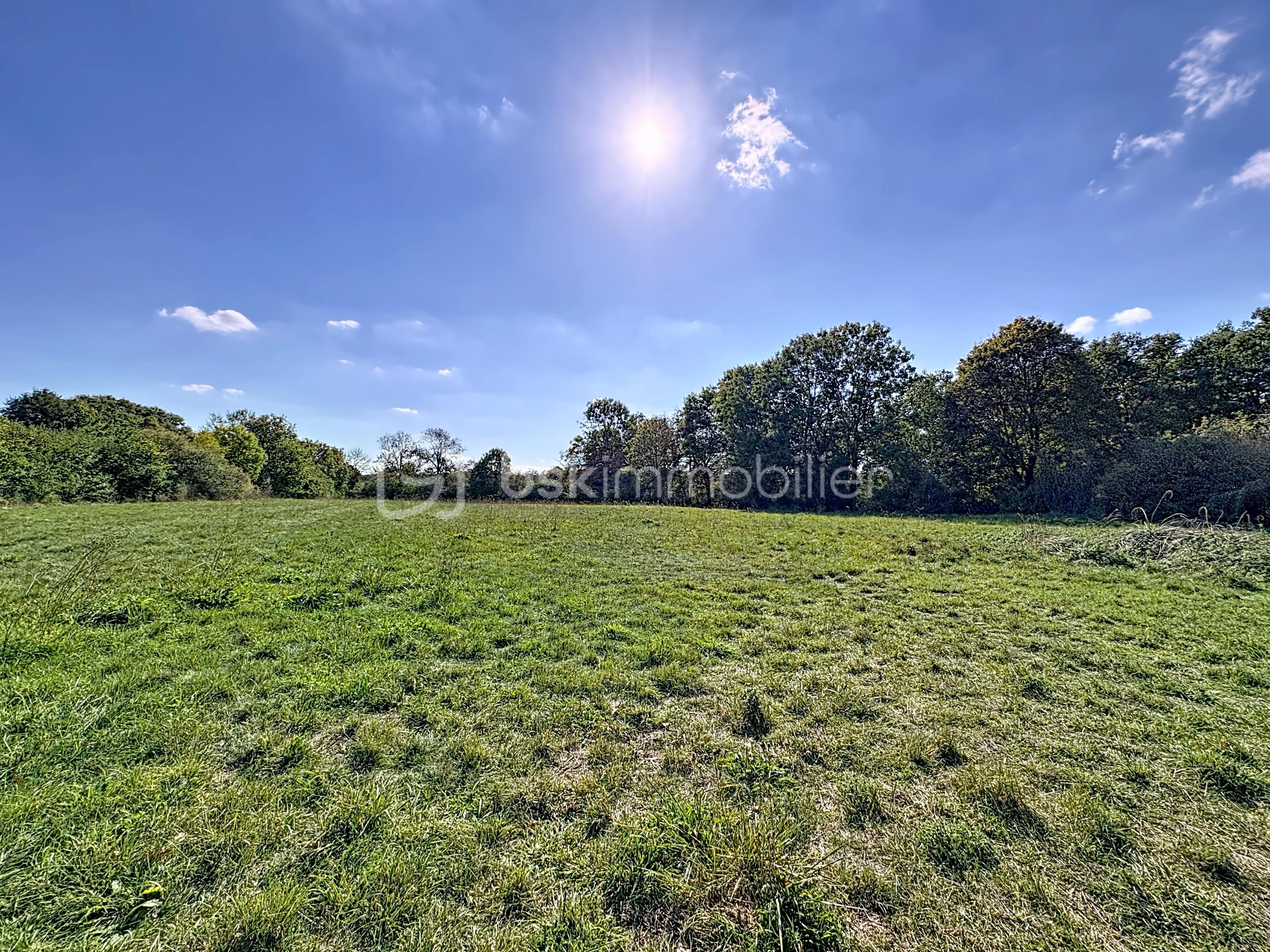 Terrain de 7 991 m² - terrain_00004.jpg