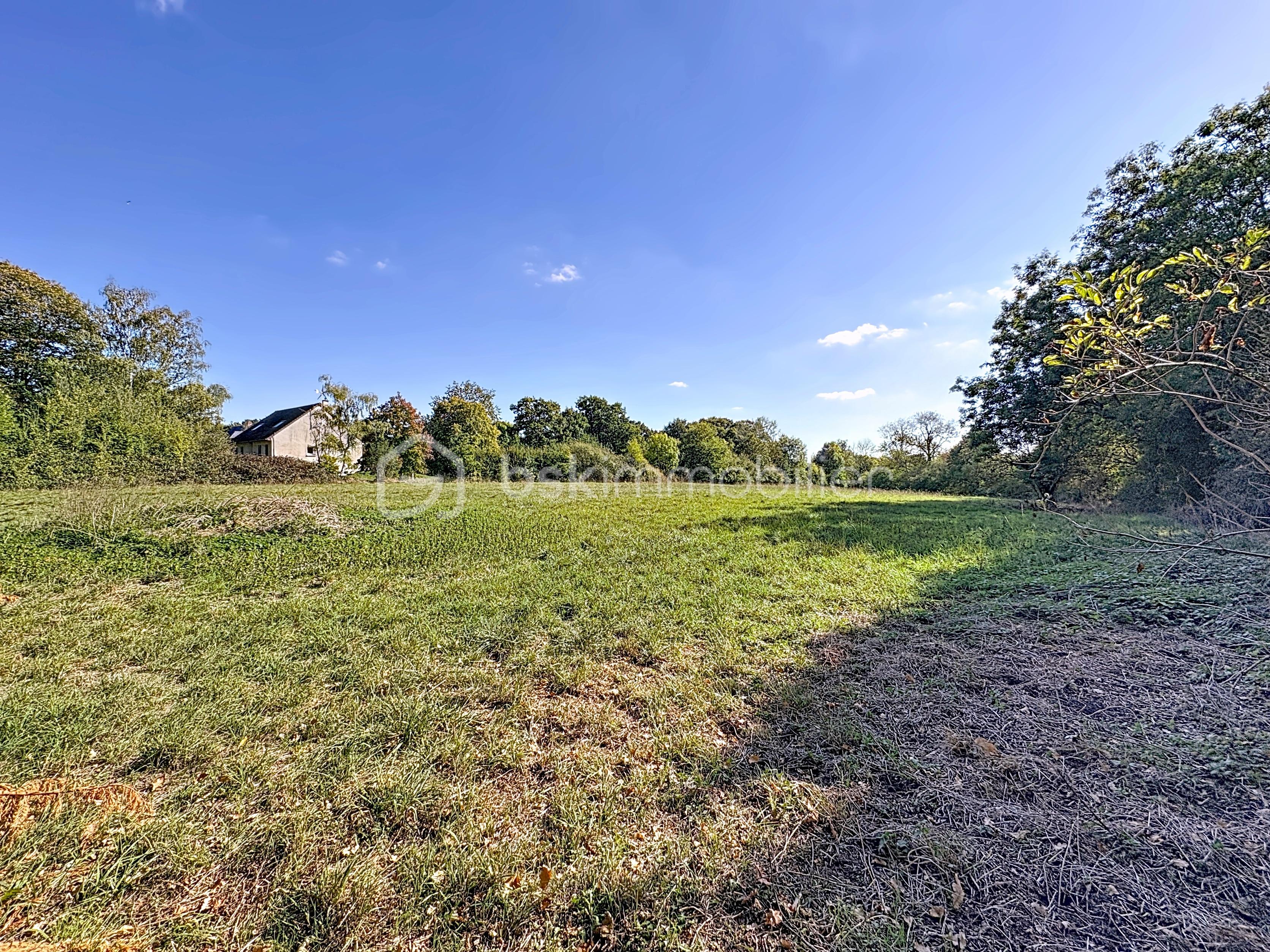 Terrain de 7 991 m² - terrain_00001.jpg