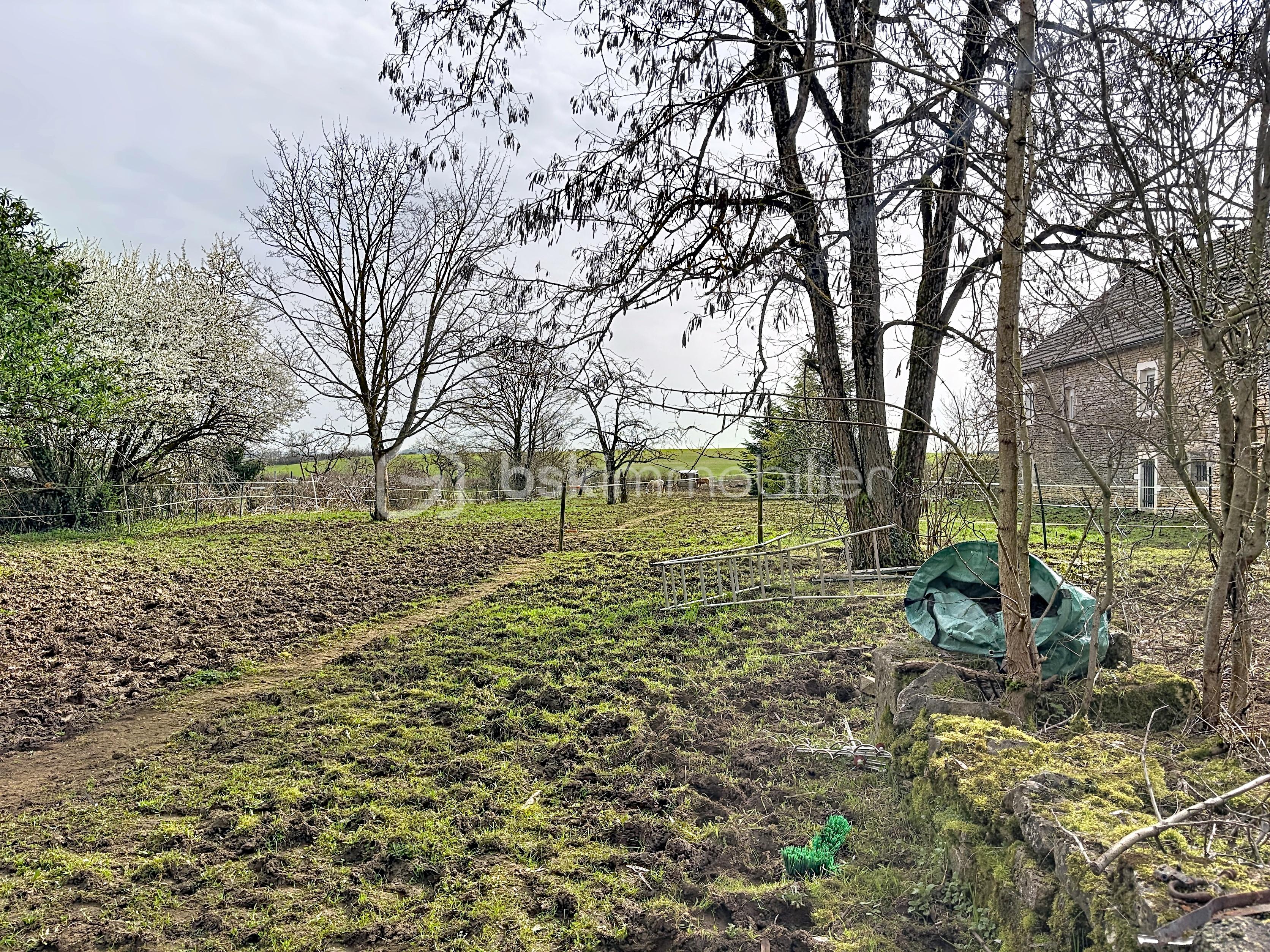 chaignay-jp_00001 (3).jpg