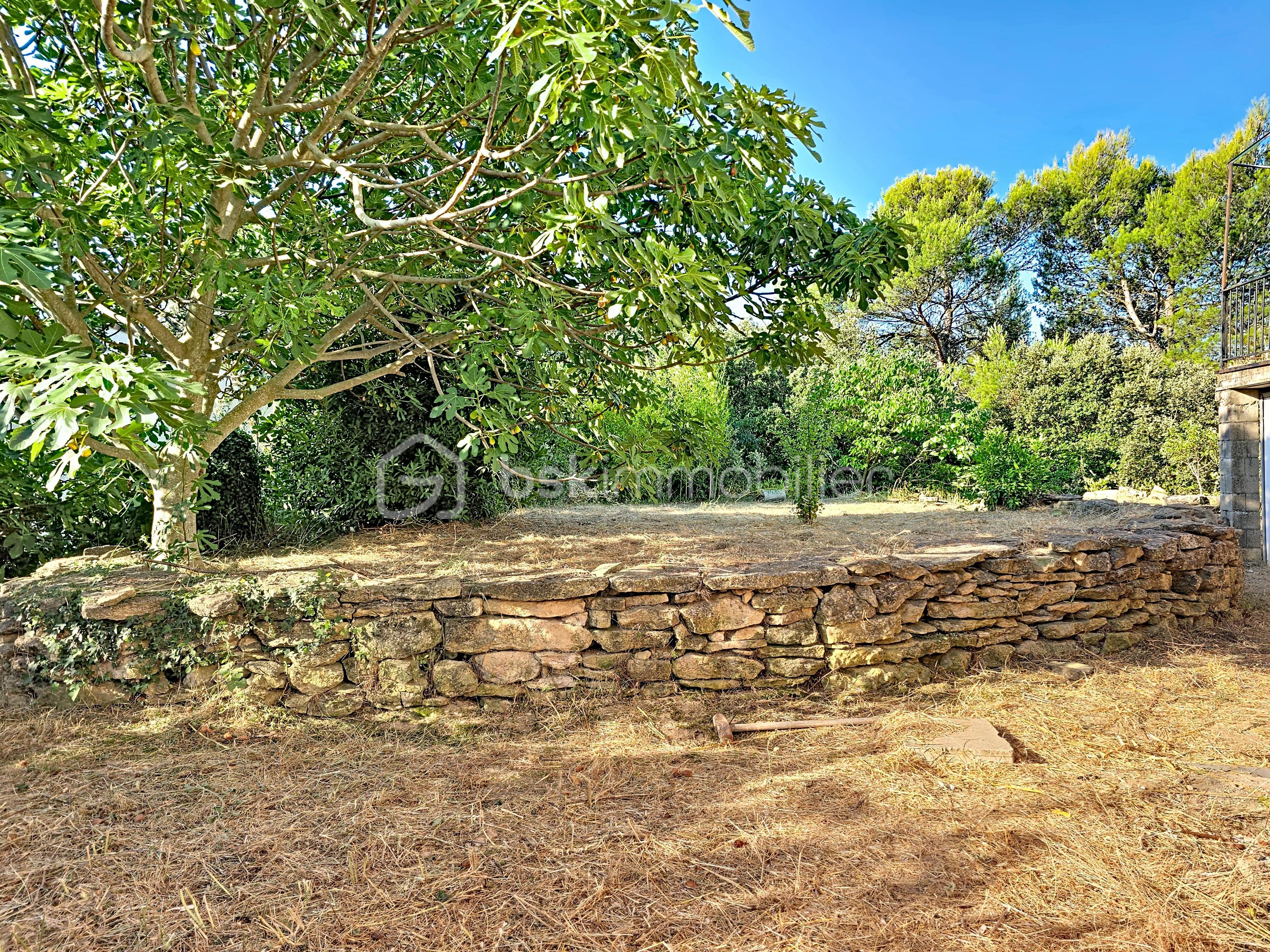 derreveaux_00021.jpg