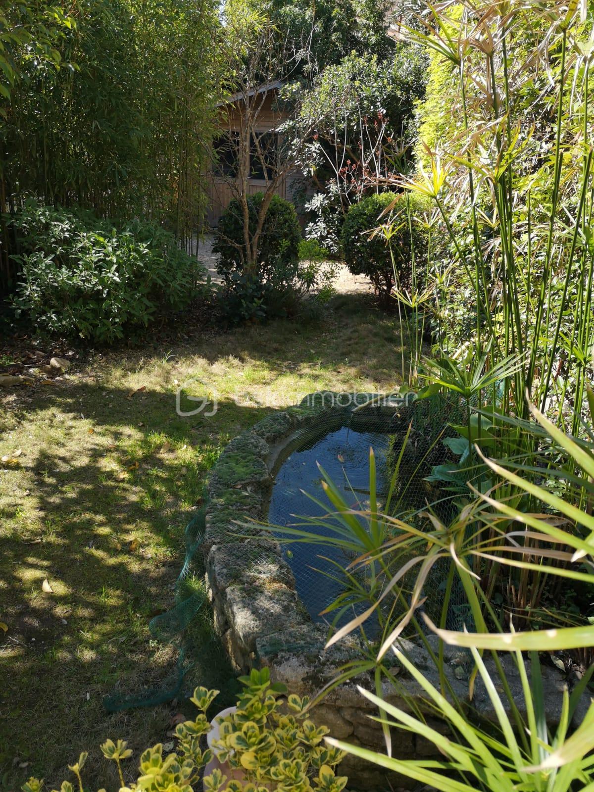 jardin arriere fontaine.jpg
