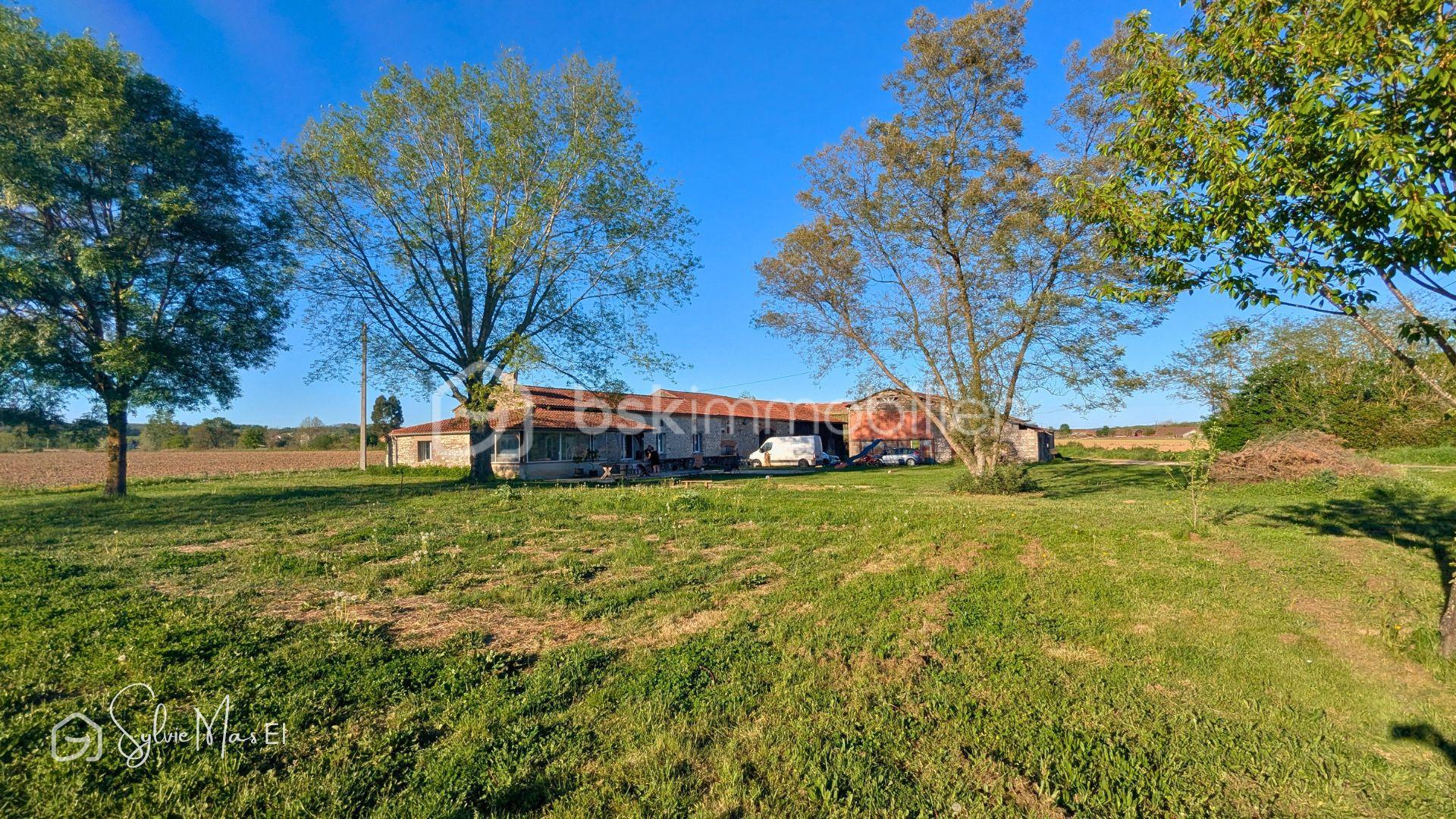 Photos Camille  (4).jpg