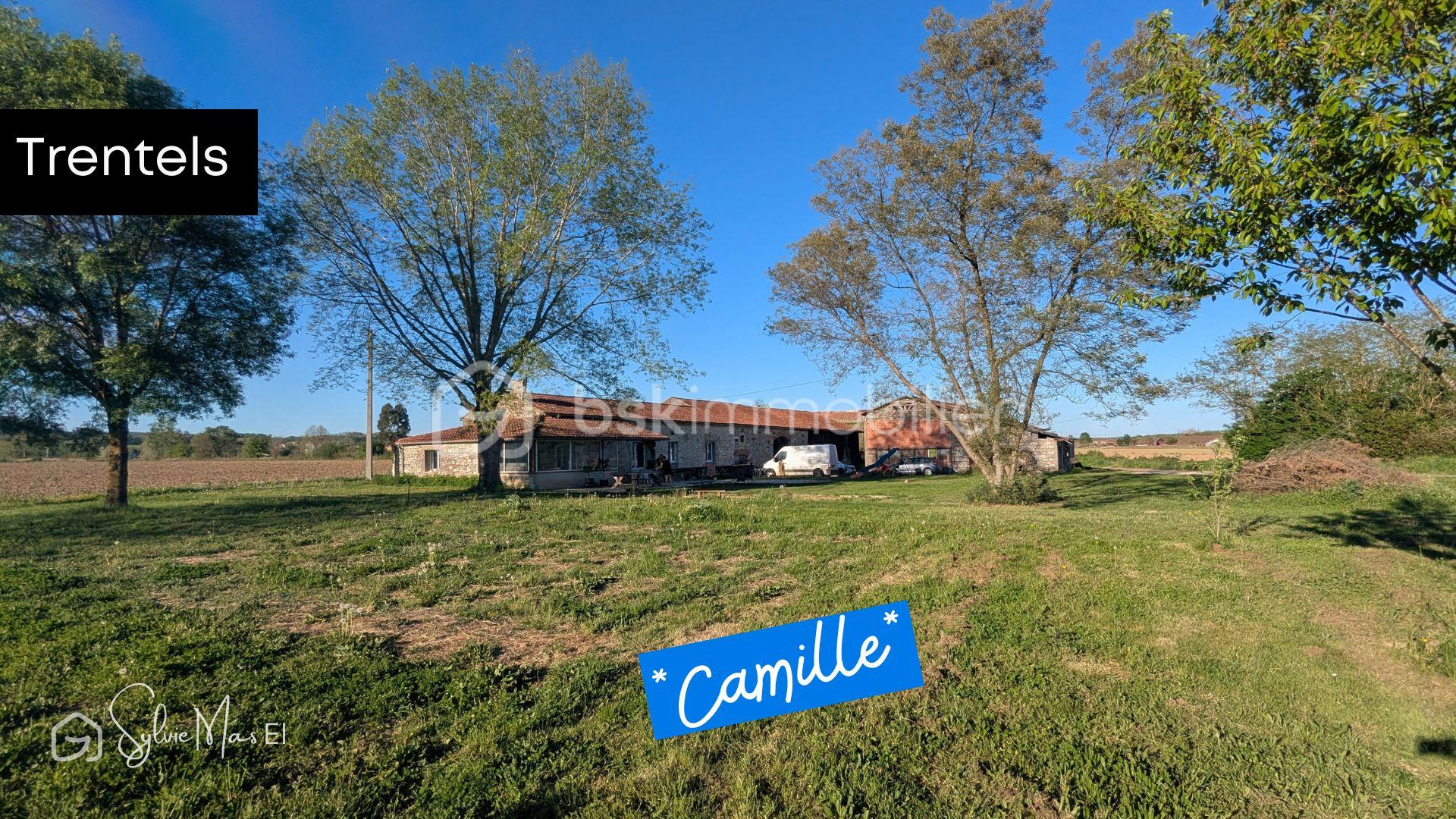 Photos Camille  (5).jpg