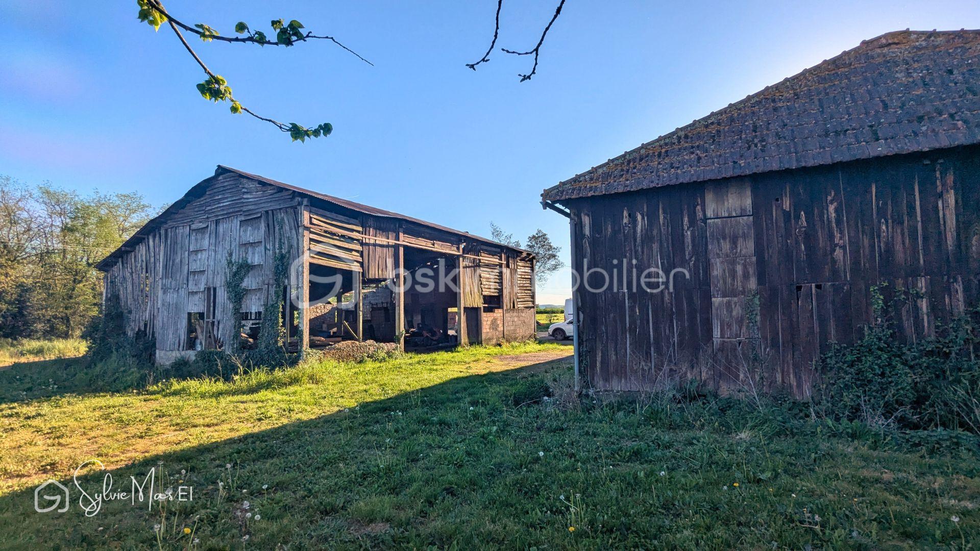 Photos Camille  (1).jpg