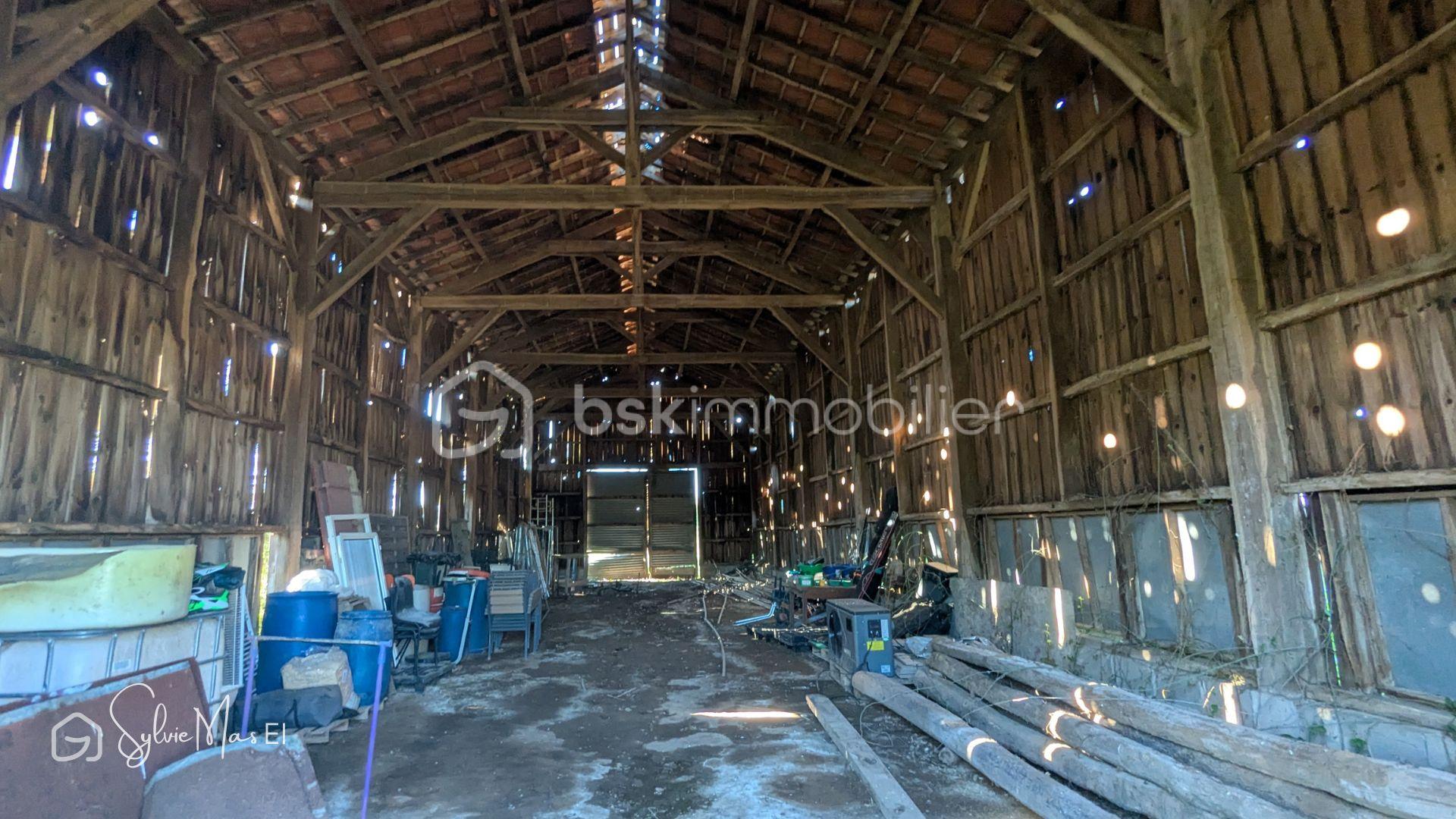 Photos Camille  (2).jpg