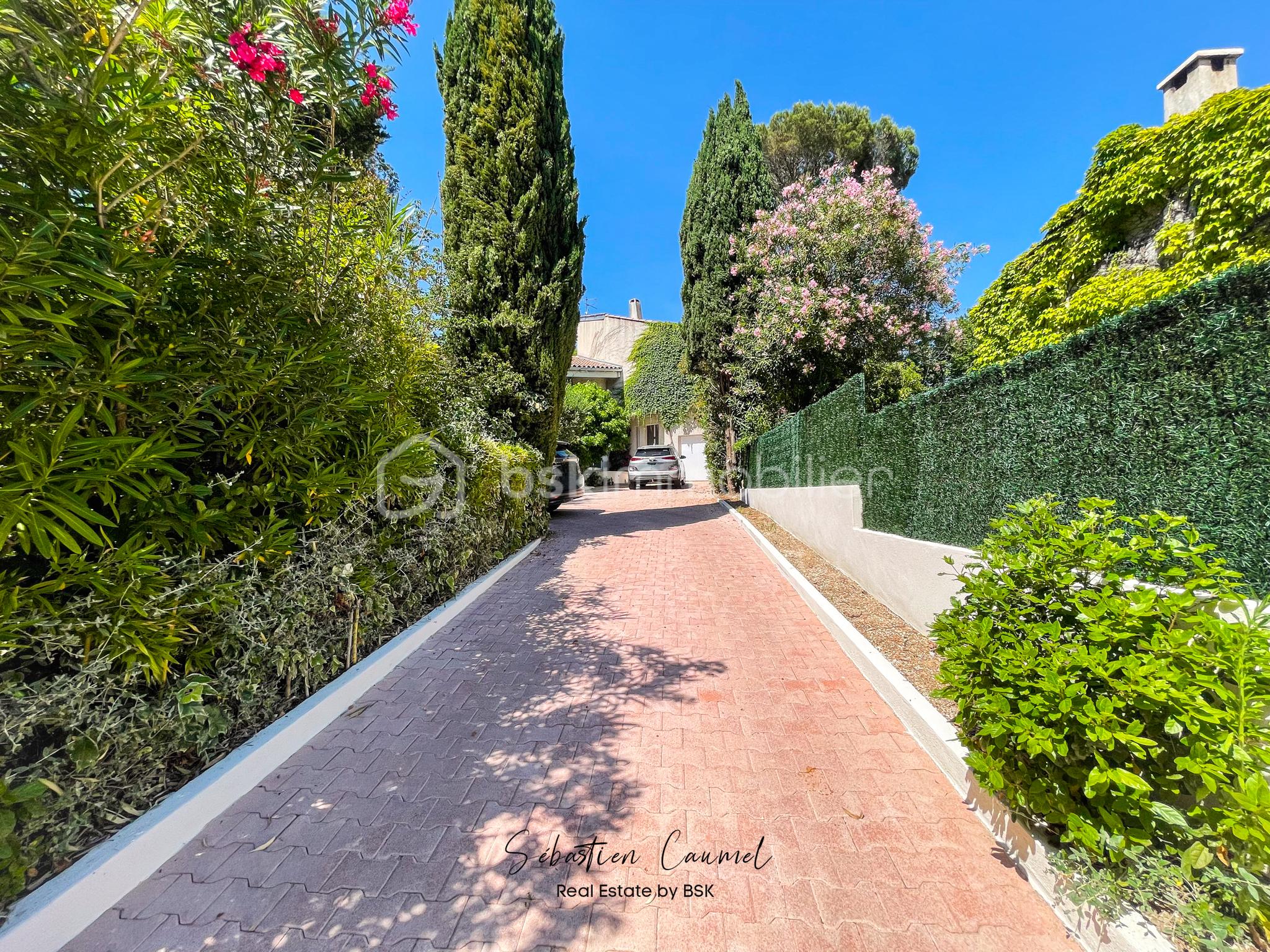 allee-privee-cypres-villa-prestige-saint-jean-de-vedas.jpg
