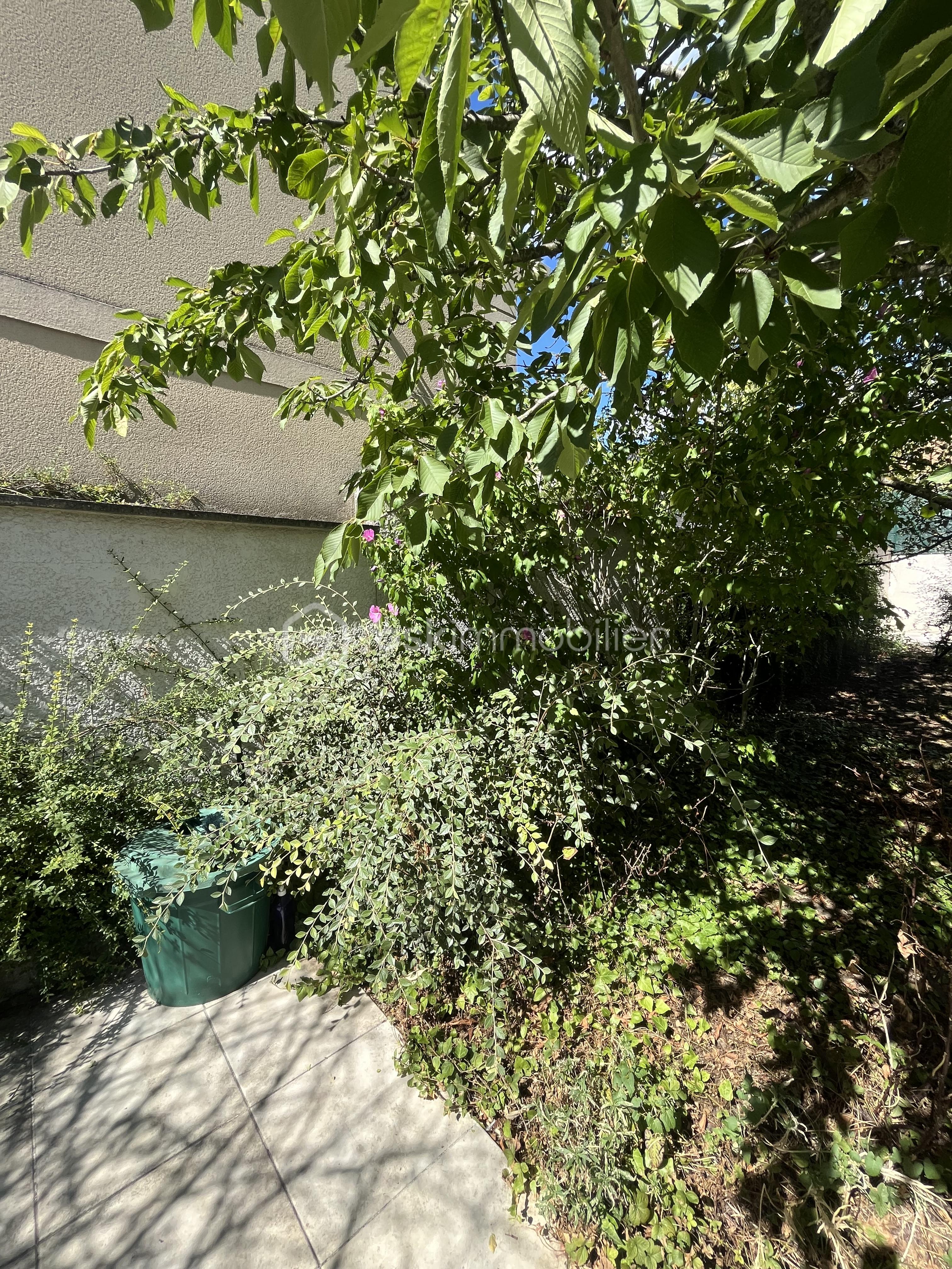 IMG_0418.jpeg