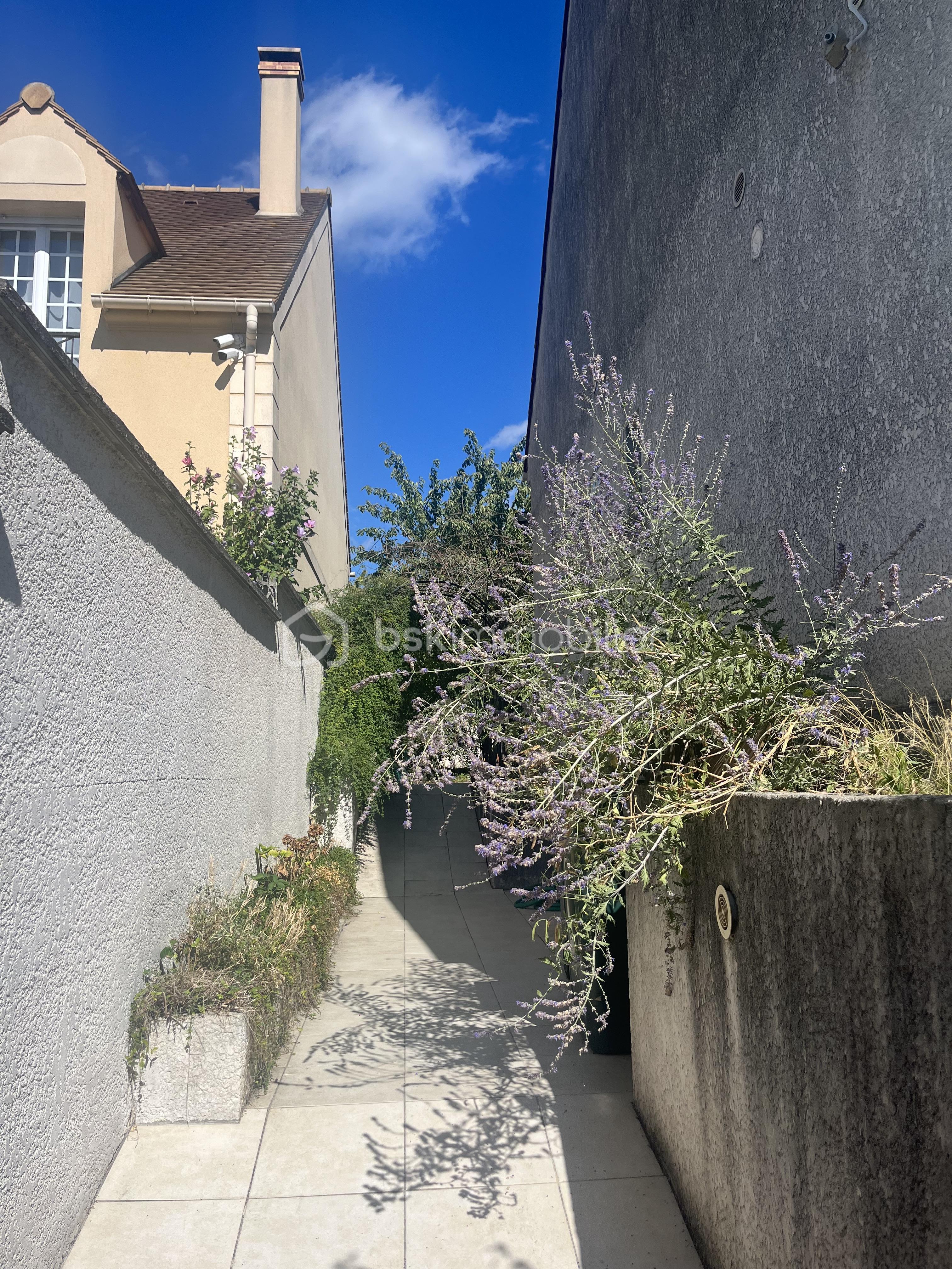 IMG_0378.jpeg