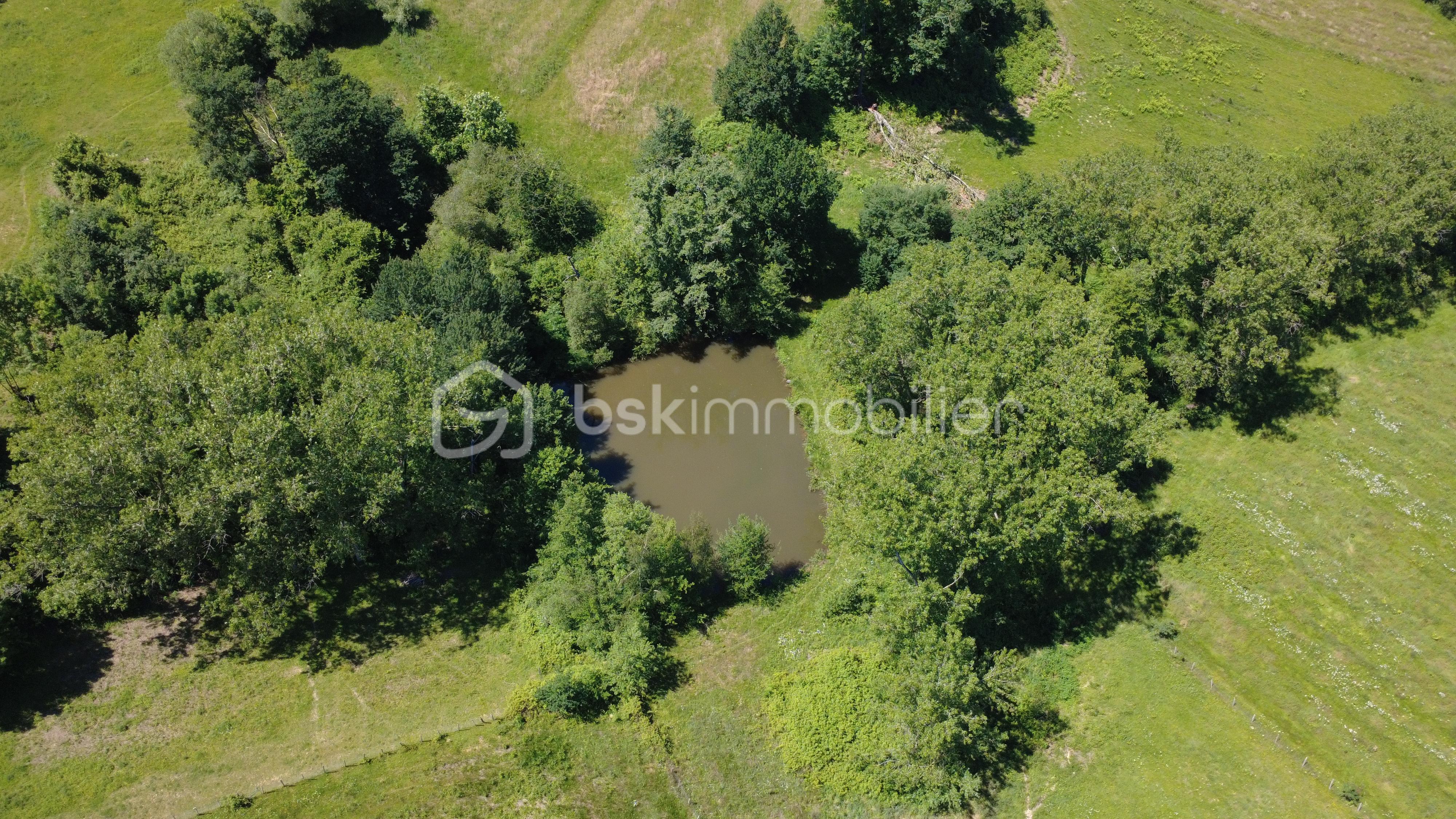 DJI_0024.JPG
