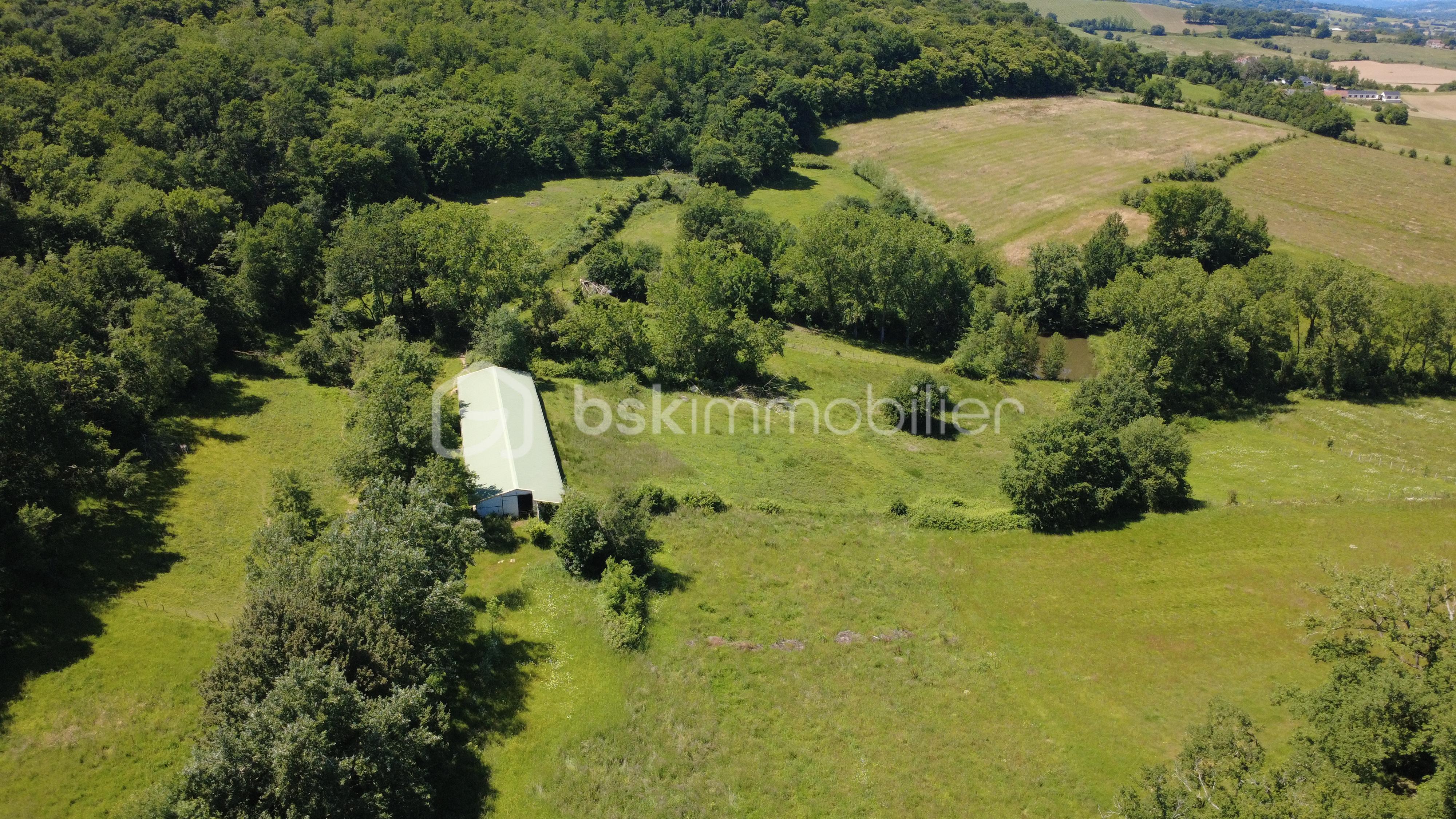 DJI_0019.JPG