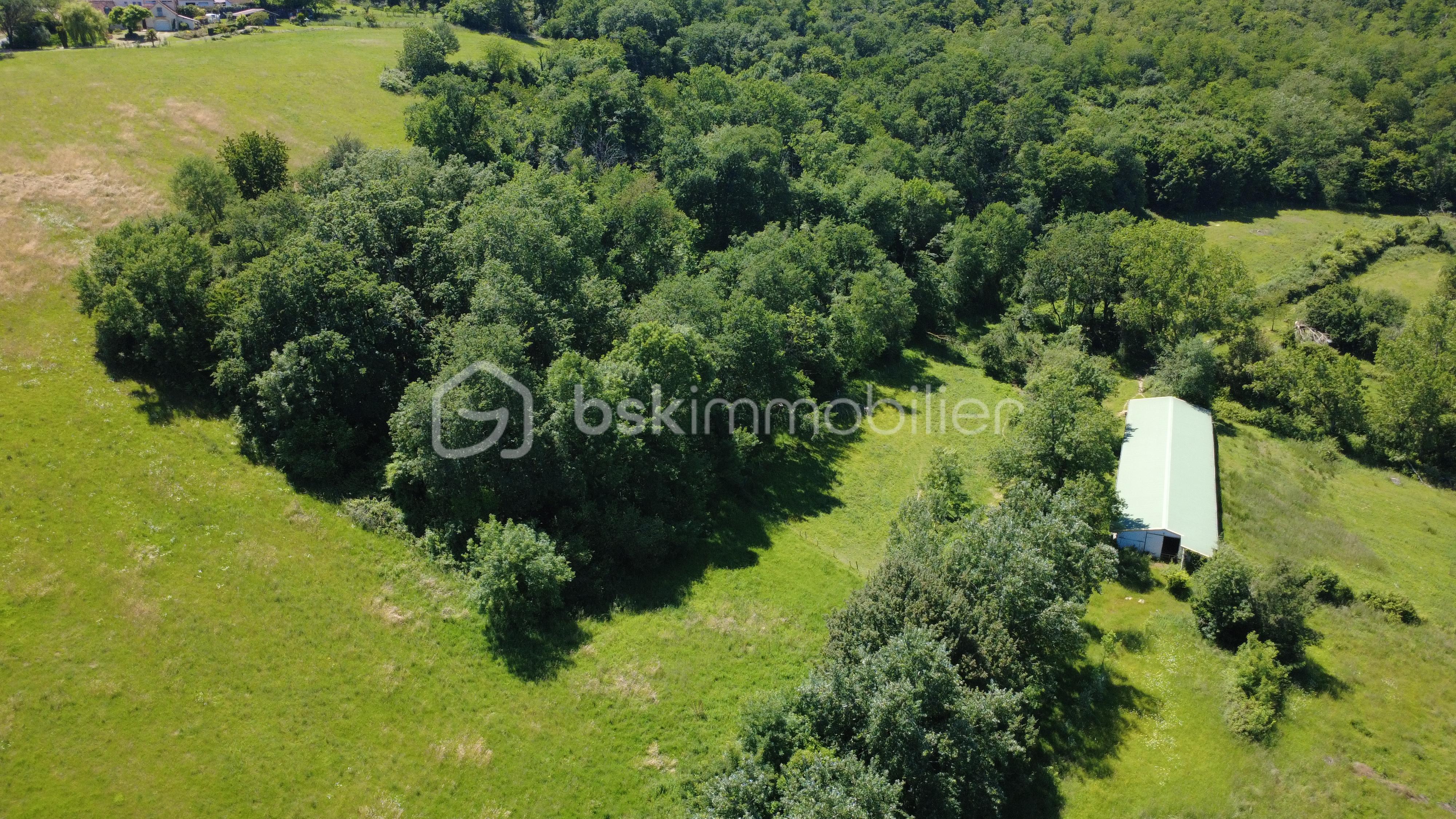 DJI_0020.JPG