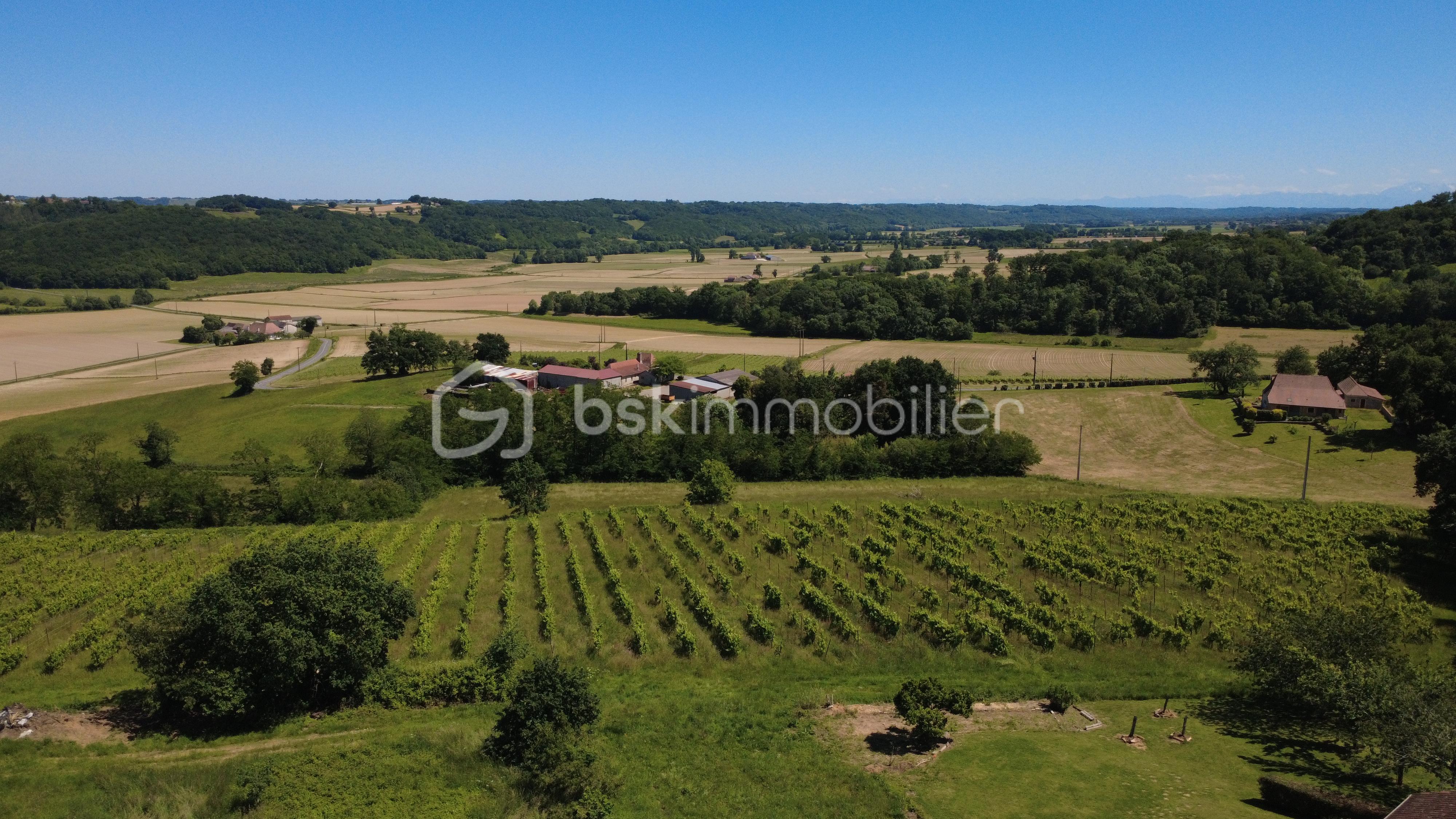 DJI_0049.JPG
