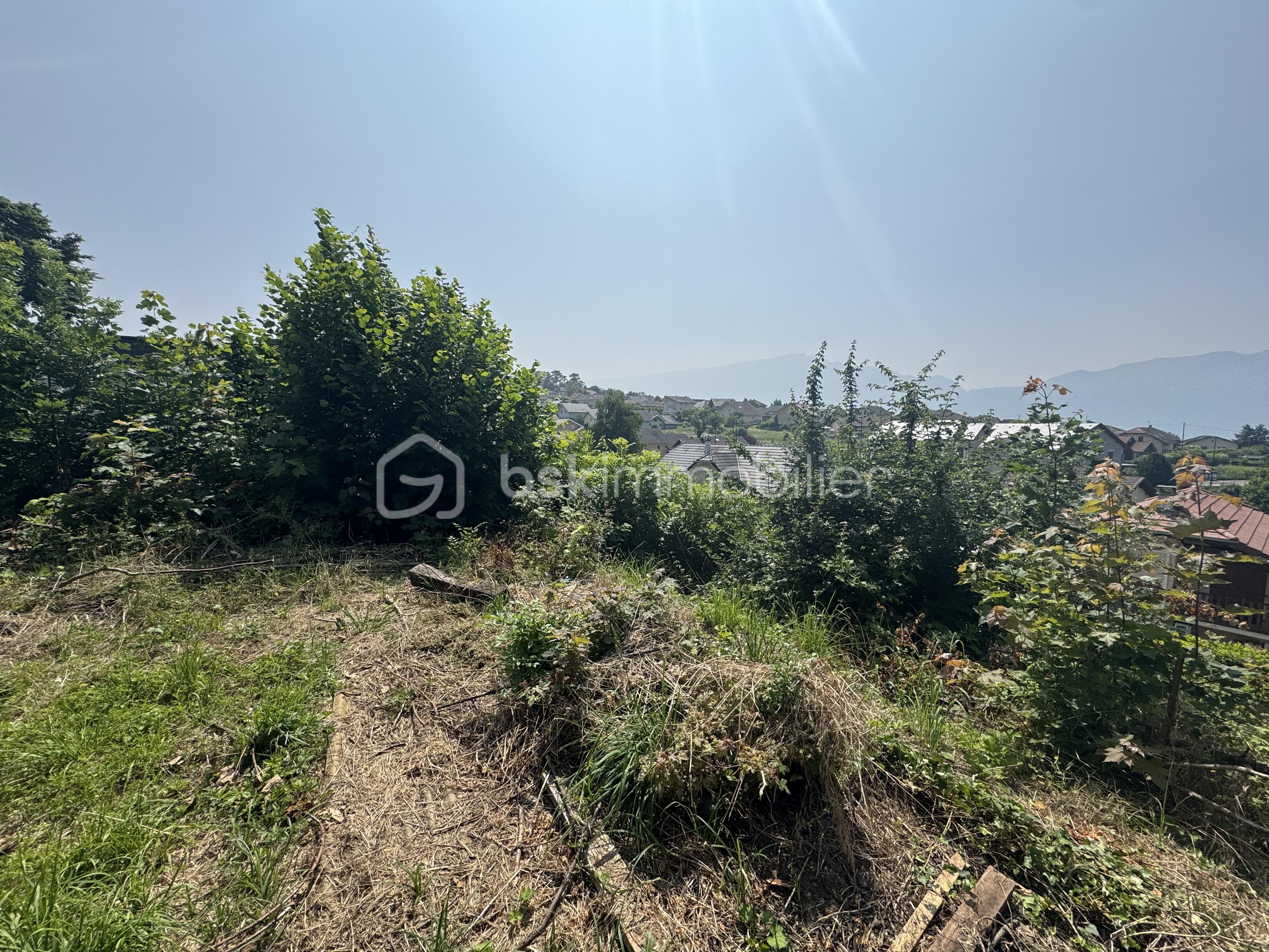 Terrain de 552 m² - IMG_7512.jpg