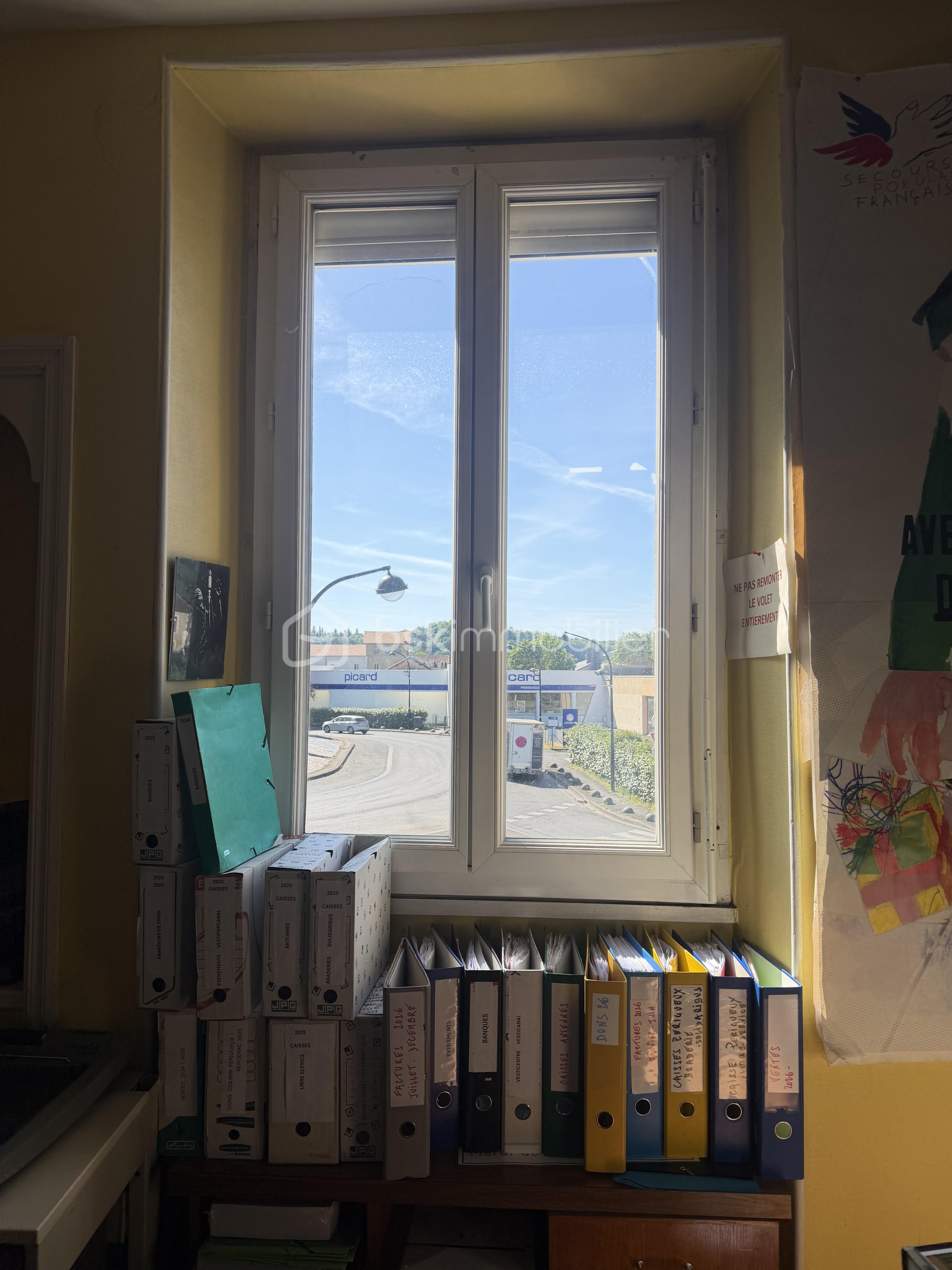 IMG_1919.jpeg