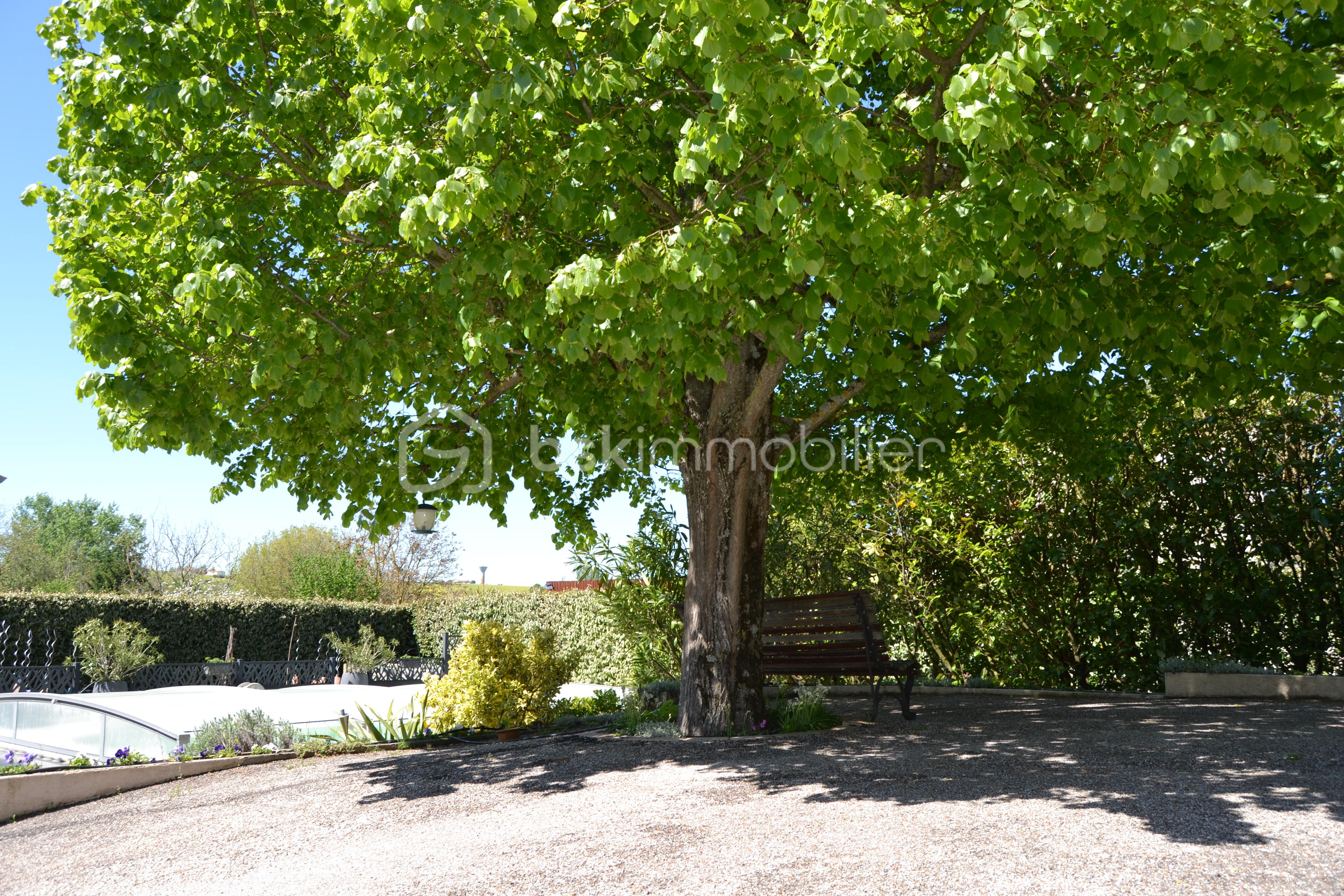 Maison de 295 m² - DSC_0181.JPG