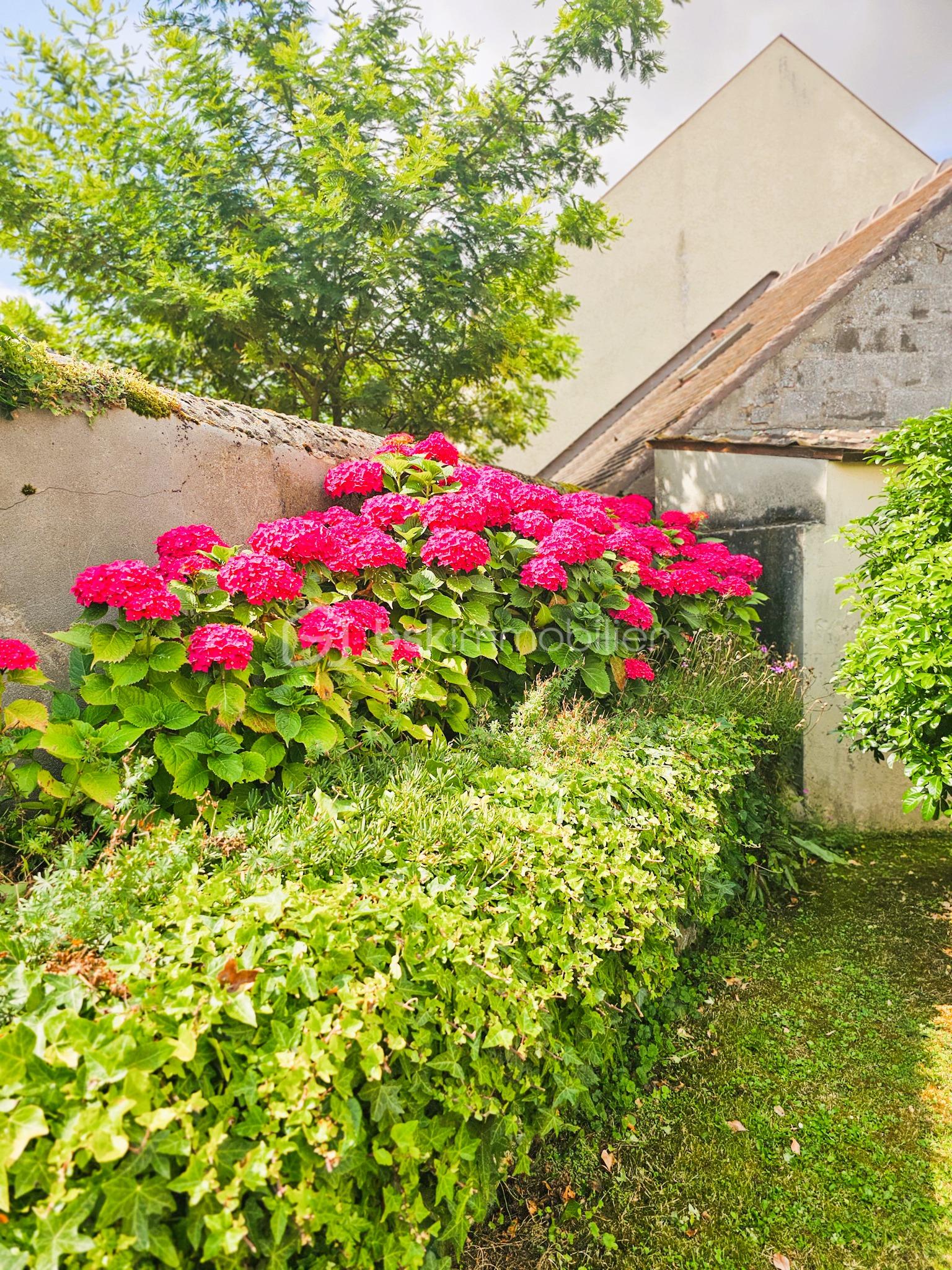 Maison ancienne de 131 m² - 20250714_114439.JPG