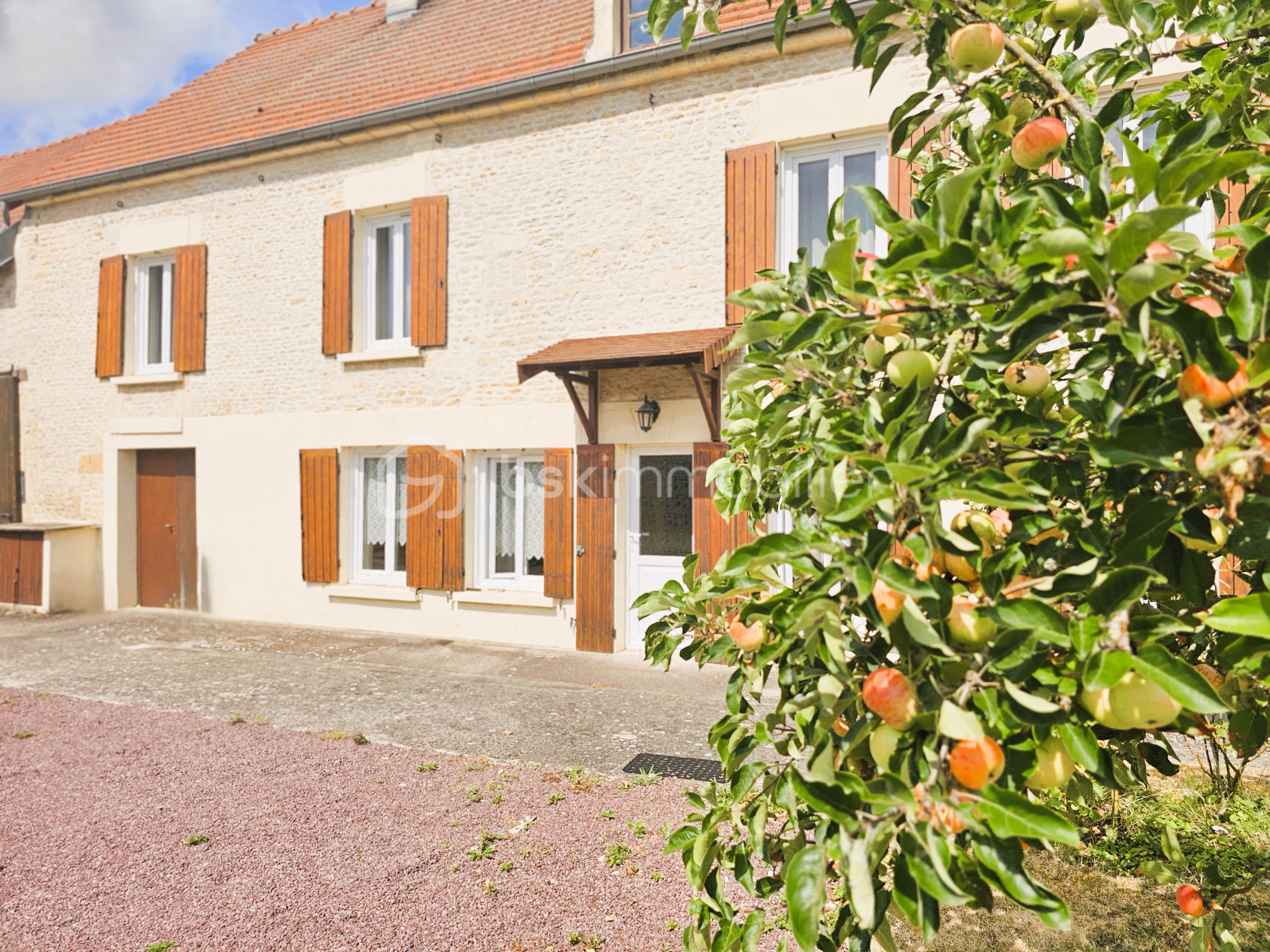 Maison ancienne de 131 m² - 20250714_114620.JPG