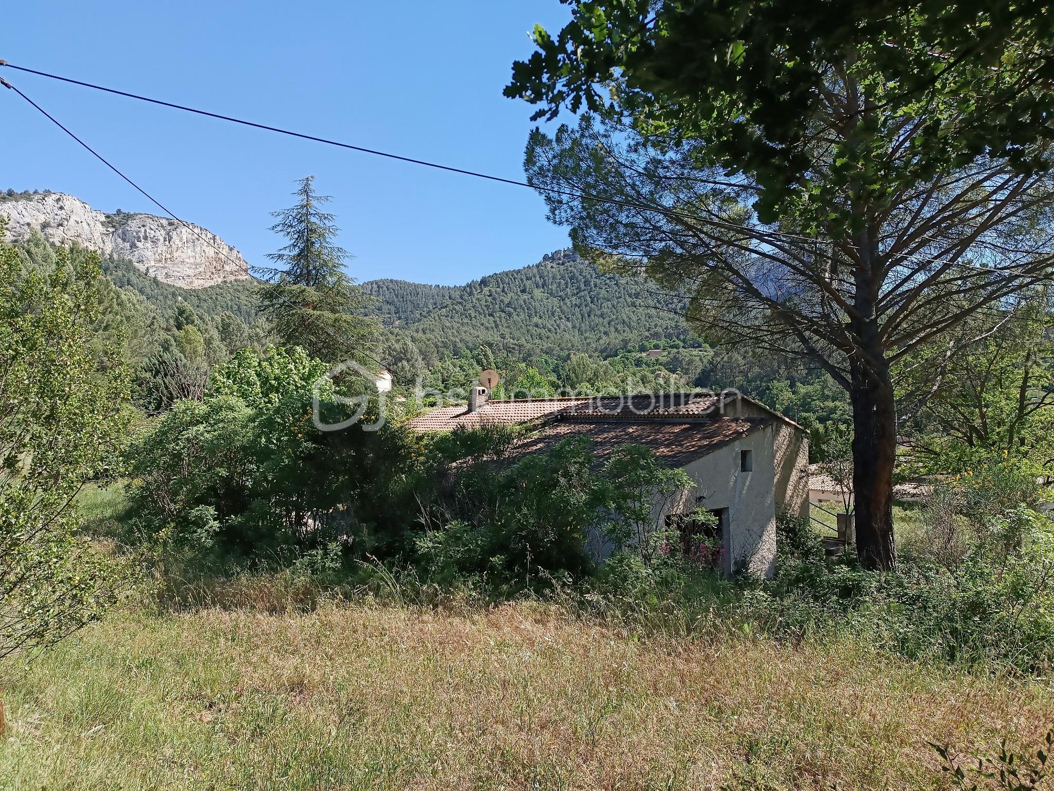 Auriol 4.jpg