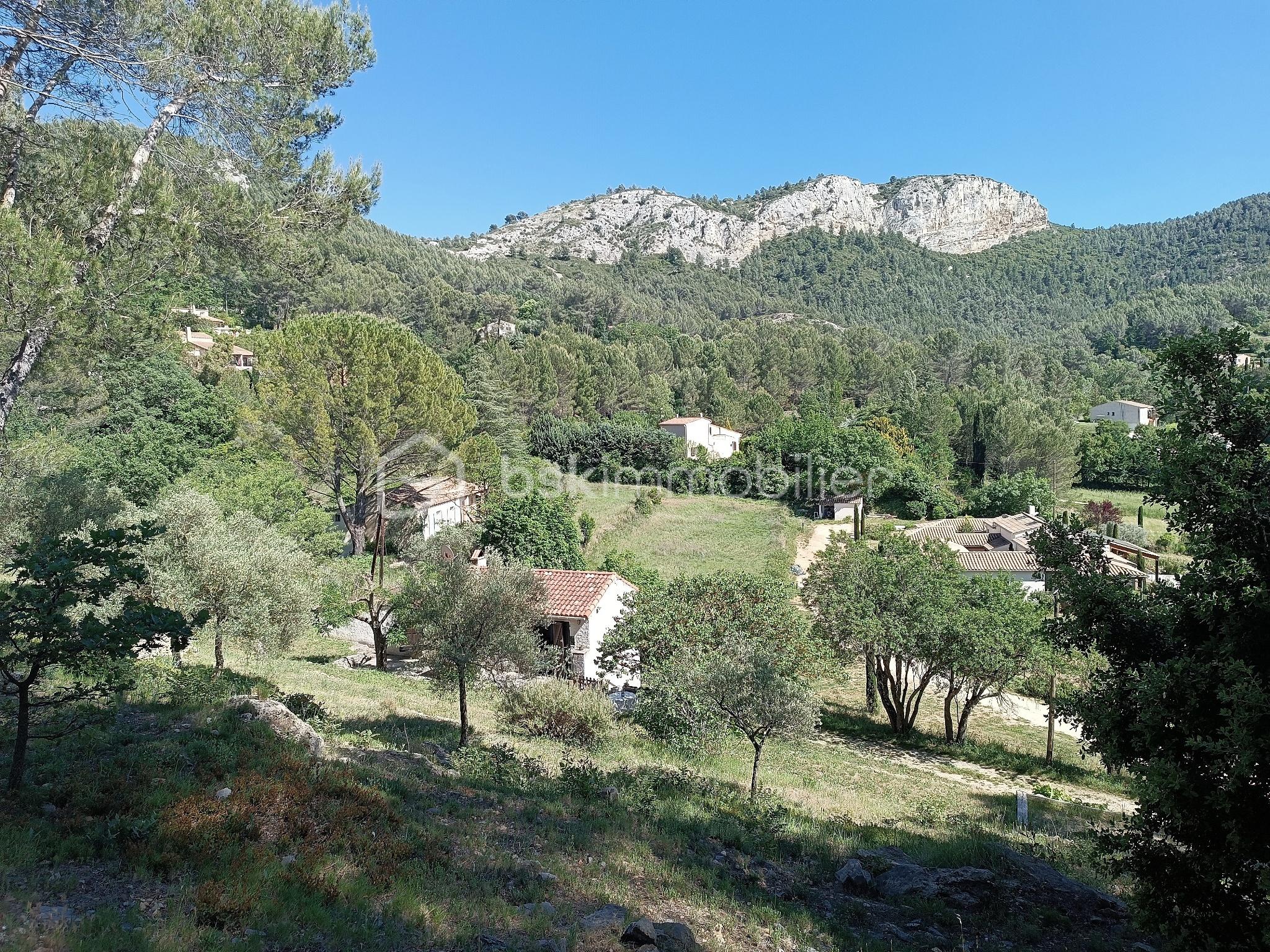 Auriol 5.jpg