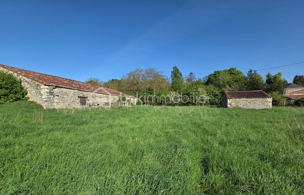 SEGEAT GRANGE 3.jpeg