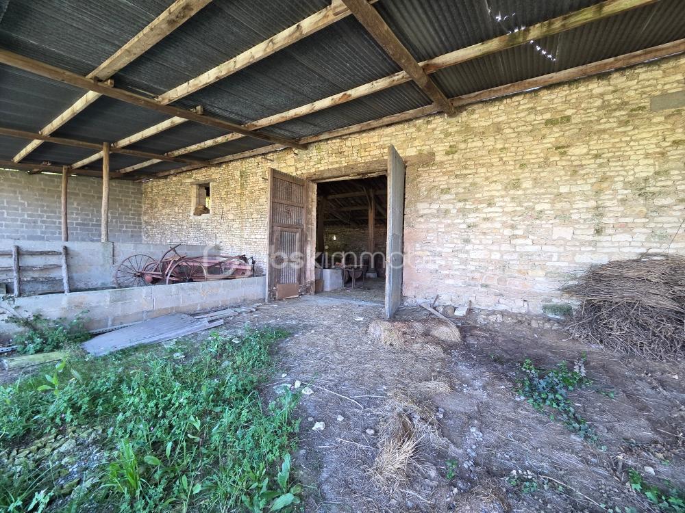 SEGEAT GRANGE 2.jpeg
