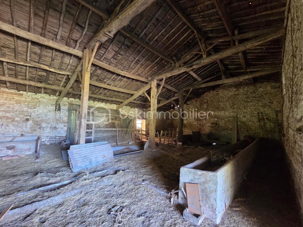 SEGEAT GRANGE.jpeg