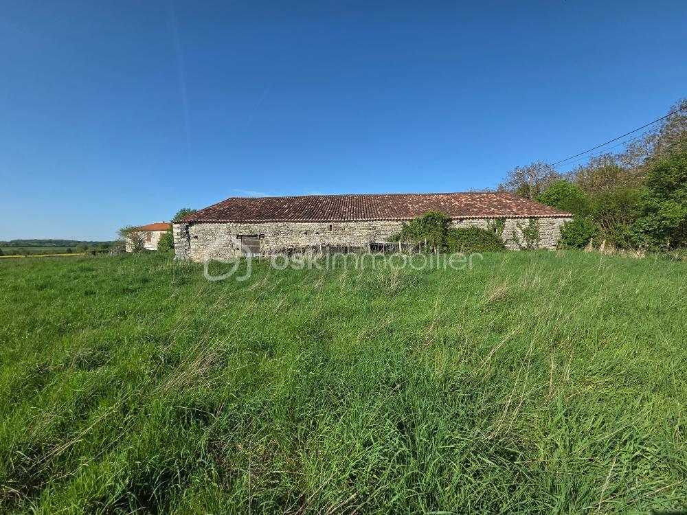SEGEAT GRANGE 5.jpeg
